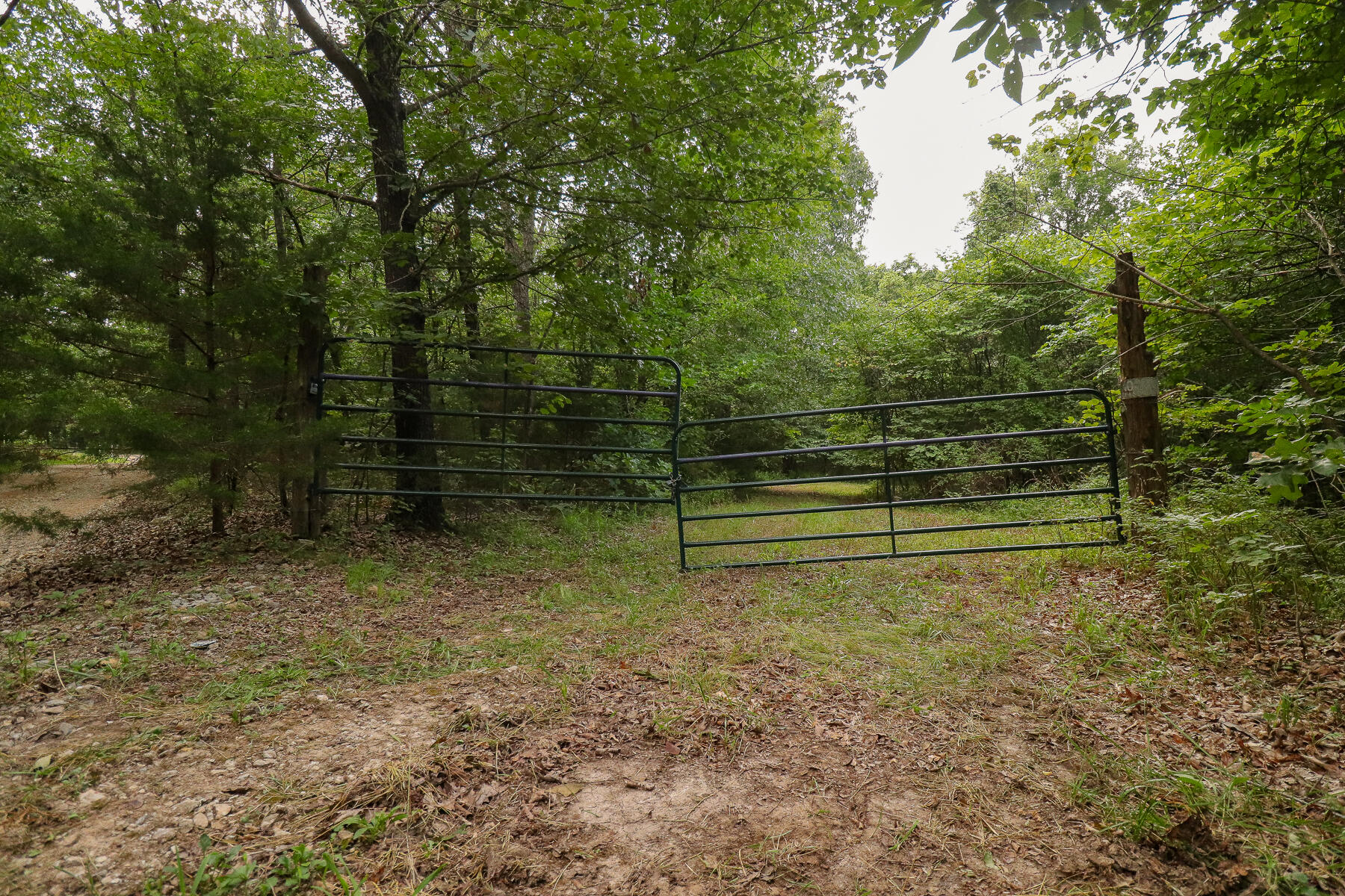 Photo 56 - Land for sale – 000  County Road 1220   Mt Vernon, MO