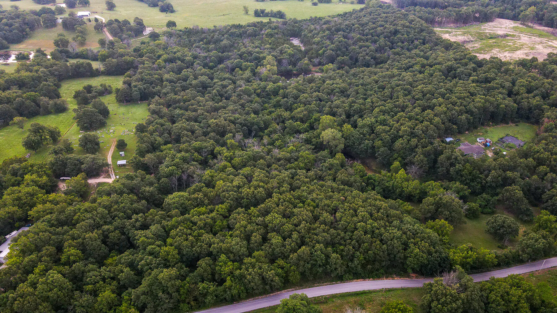Photo 3 - Land for sale – 000  County Road 1220   Mt Vernon, MO