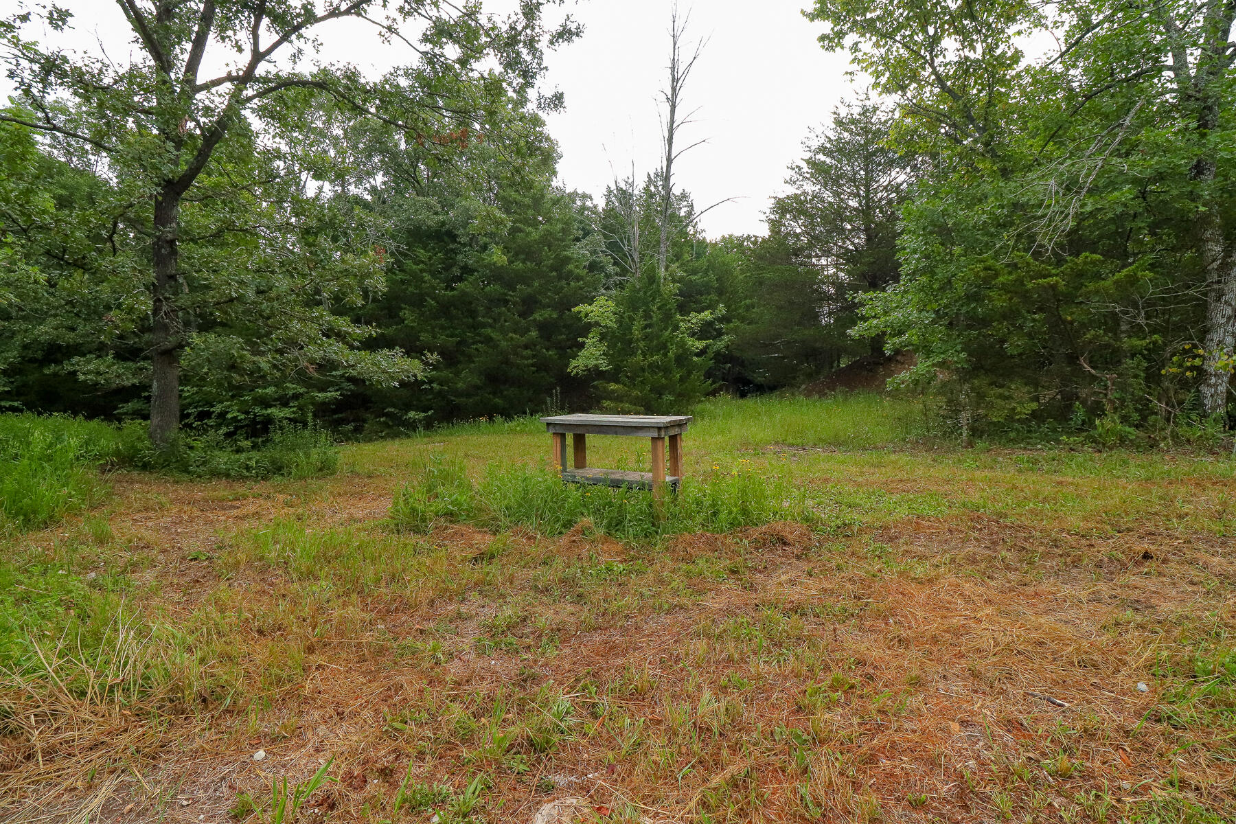 Photo 36 - Land for sale – 000  County Road 1220   Mt Vernon, MO