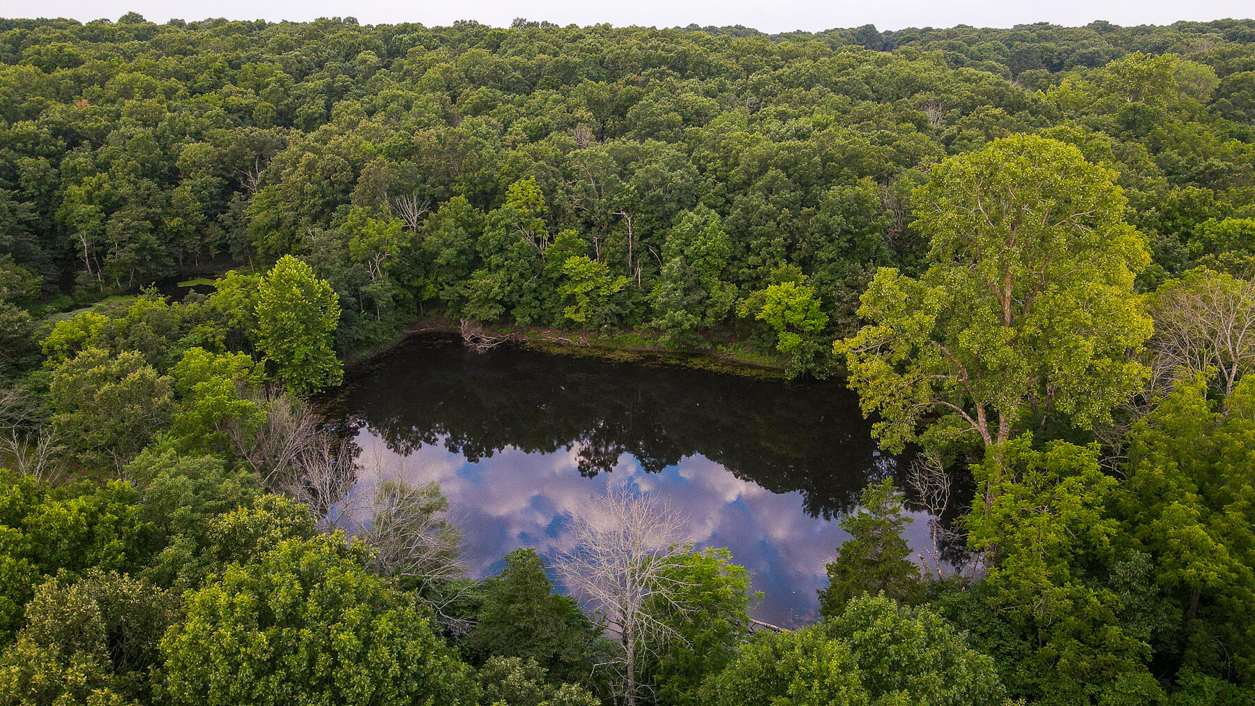 Photo 13 - Land for sale – 000  County Road 1220   Mt Vernon, MO