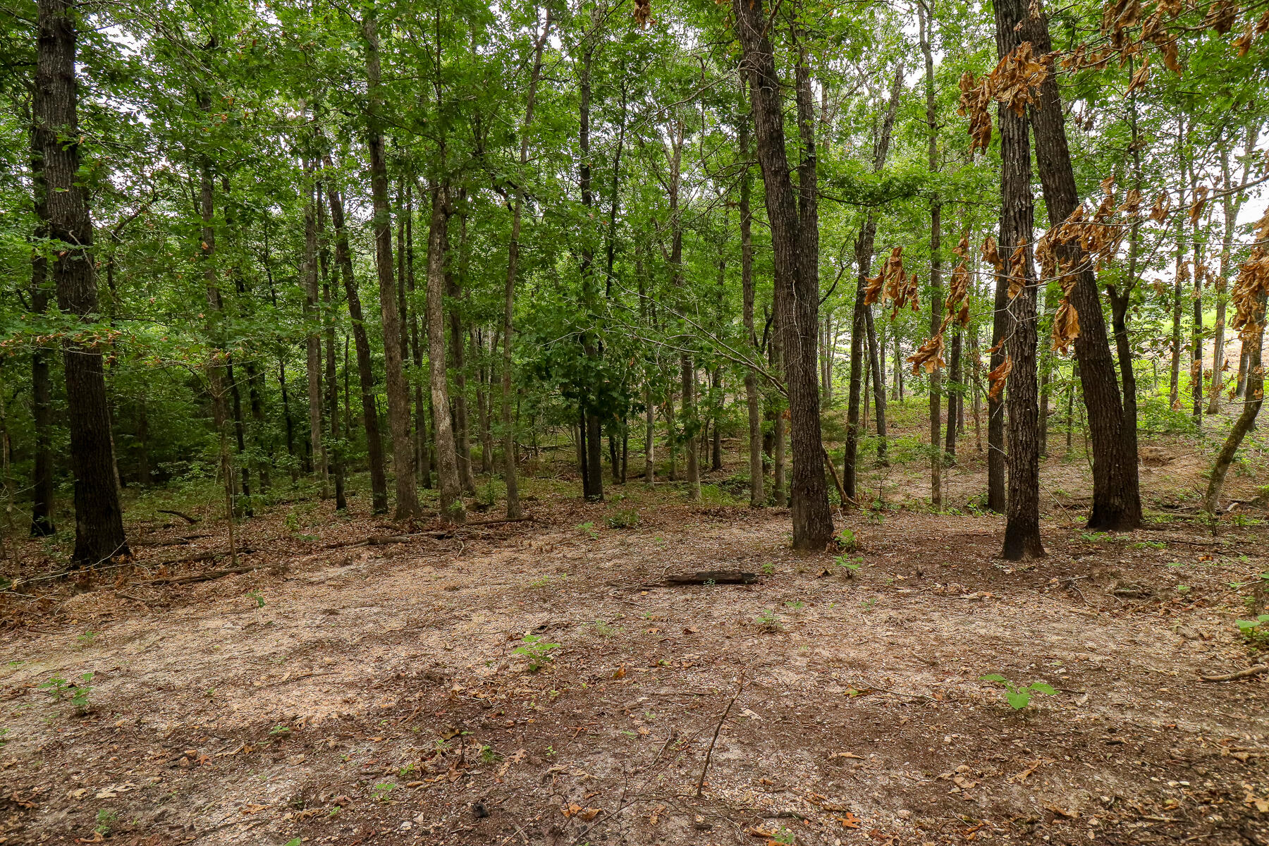 Photo 47 - Land for sale – 000  County Road 1220   Mt Vernon, MO