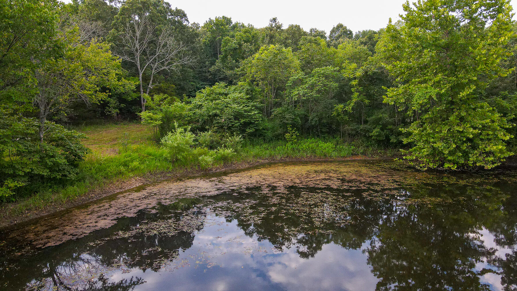 Photo 21 - Land for sale – 000  County Road 1220   Mt Vernon, MO