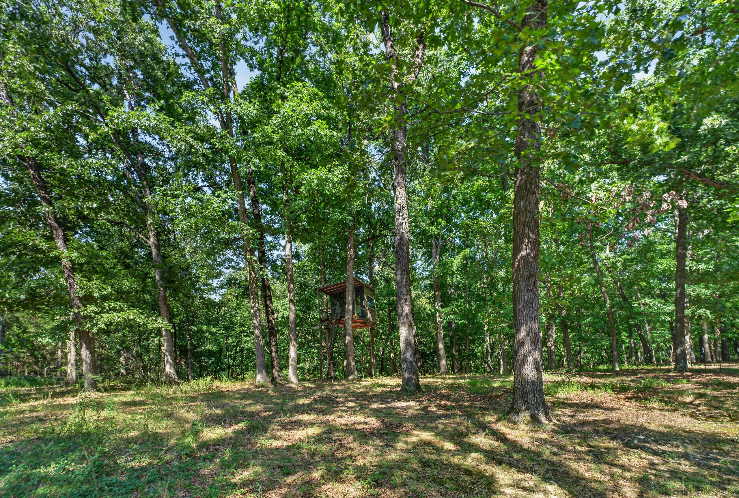 Photo 58 - Residential for sale – 4733 E Farm Road 66   Springfield, MO