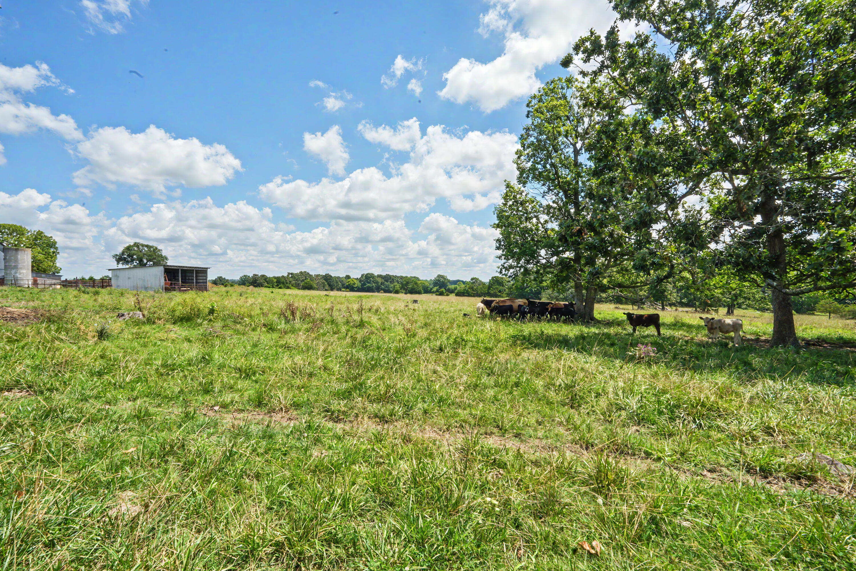Photo 36 - Farm for sale – 1114  Vermule Road  Billings, MO