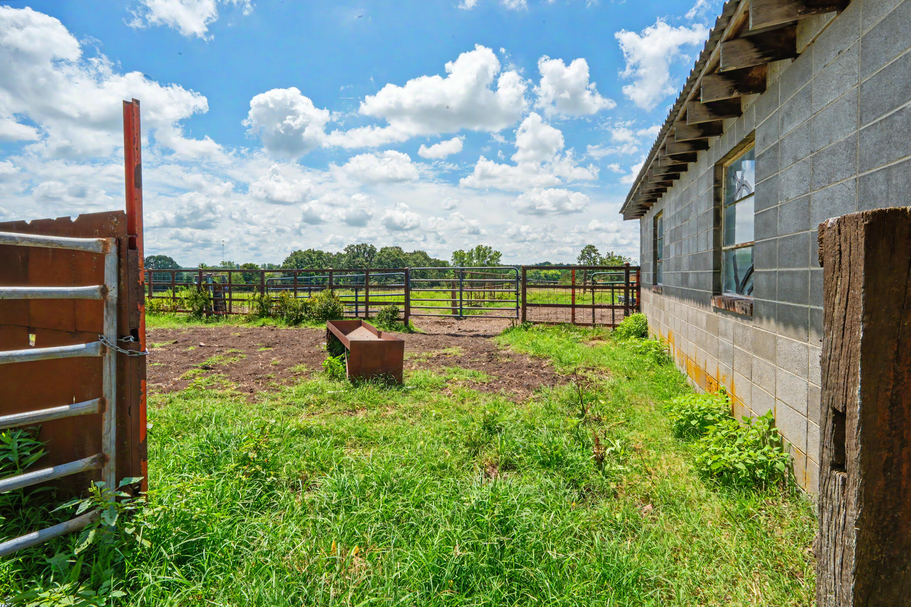 Photo 48 - Farm for sale – 1114  Vermule Road  Billings, MO