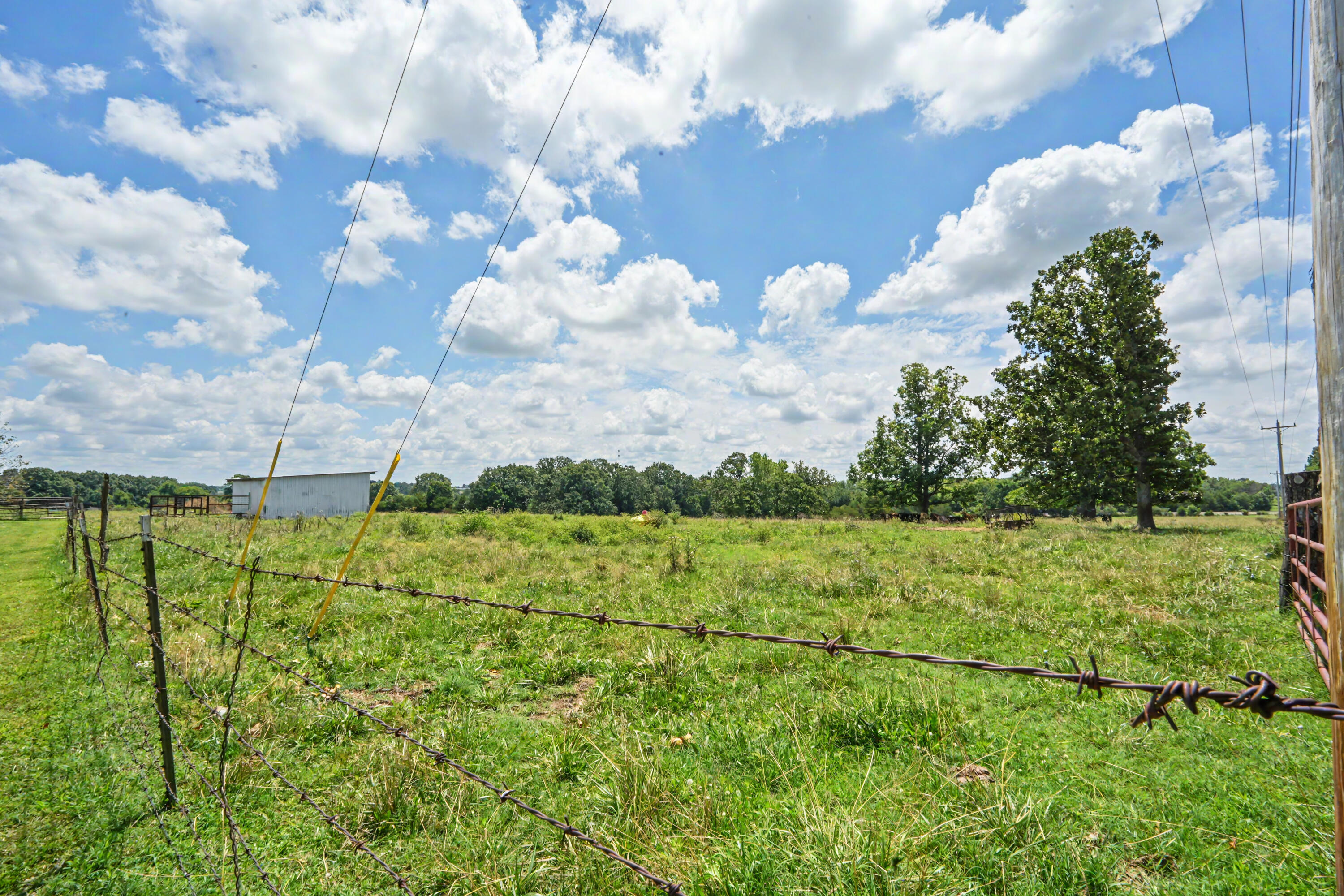 Photo 33 - Farm for sale – 1114  Vermule Road  Billings, MO
