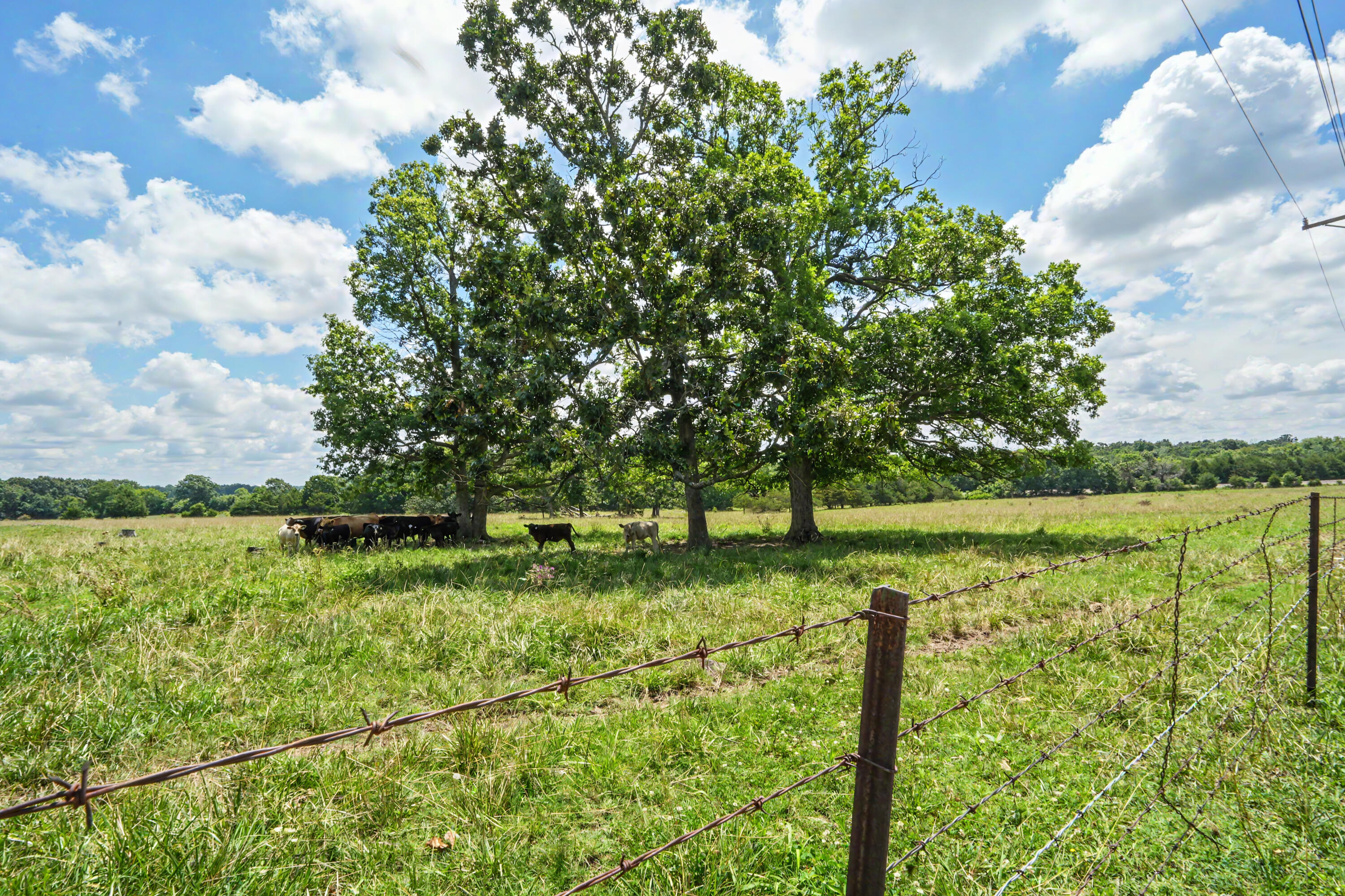 Photo 35 - Farm for sale – 1114  Vermule Road  Billings, MO