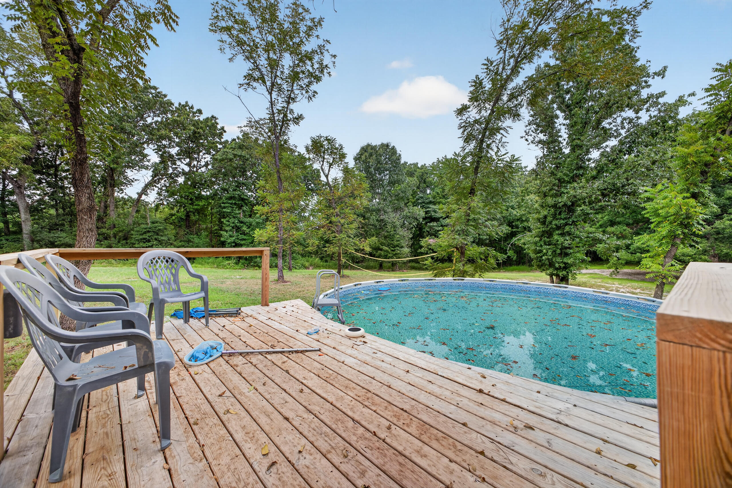 Photo 9 - Land for sale – 517  County Road 171   Greenfield, MO