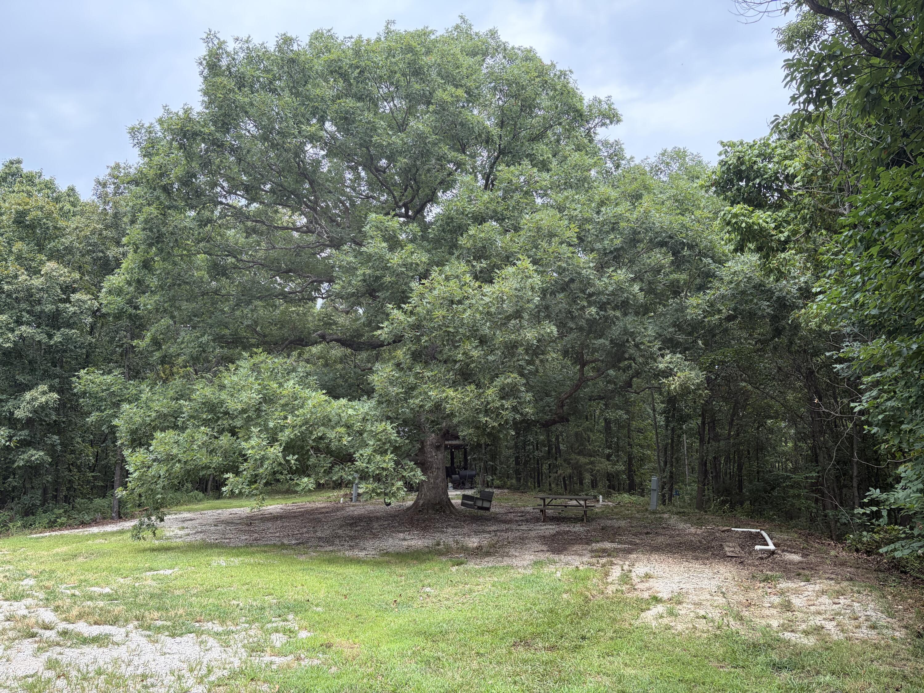 Photo 23 - Land for sale – 517  County Road 171   Greenfield, MO