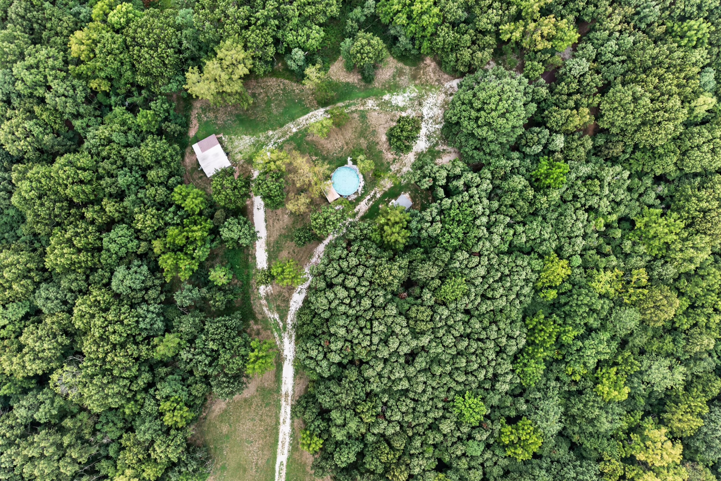 Photo 2 - Land for sale – 517  County Road 171   Greenfield, MO