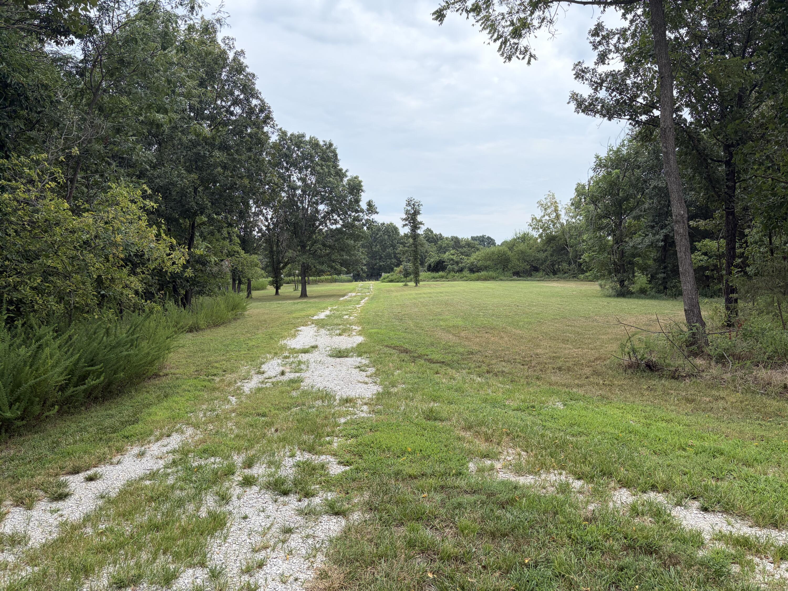 Photo 22 - Land for sale – 517  County Road 171   Greenfield, MO