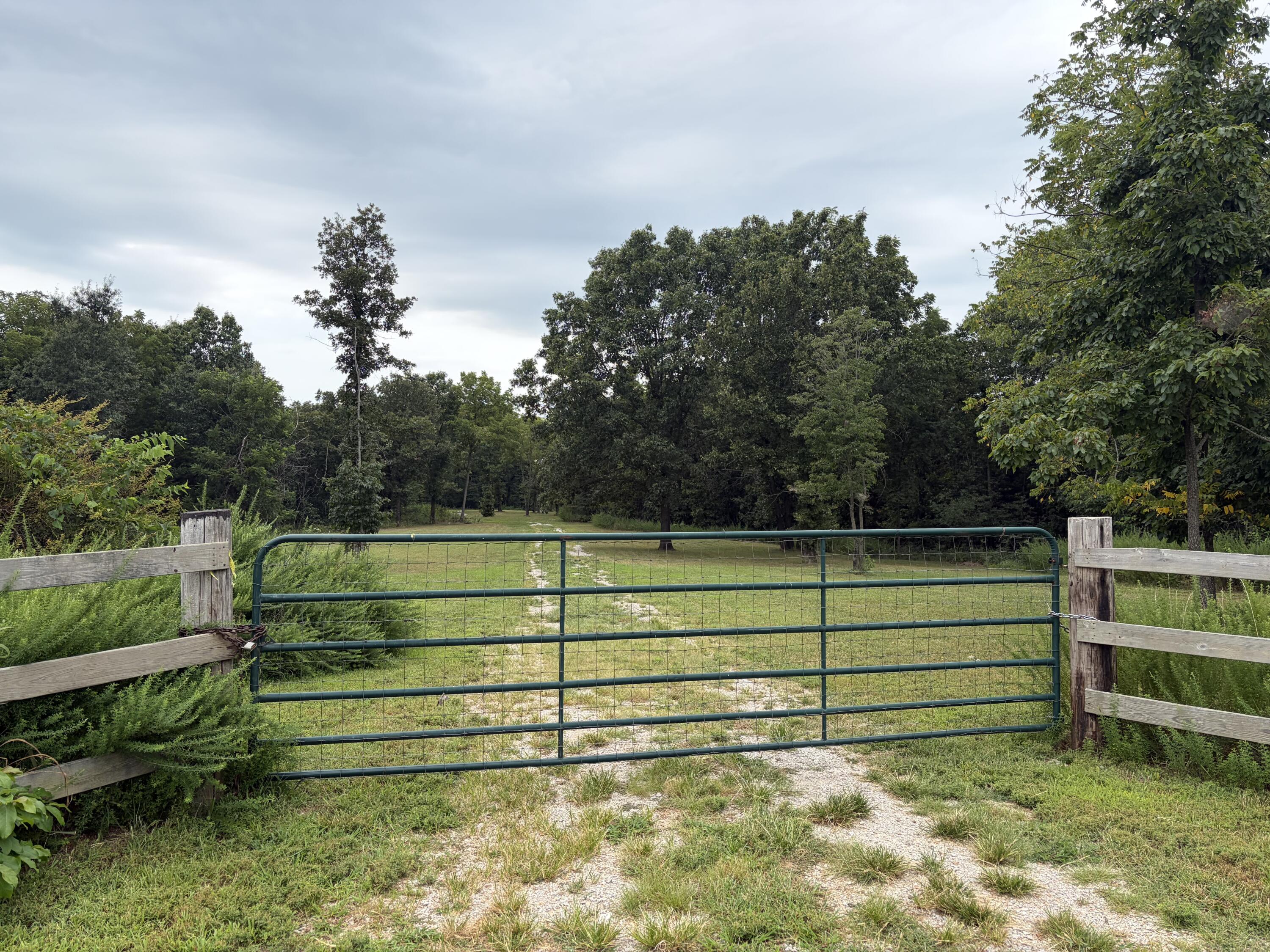 Photo 6 - Land for sale – 517  County Road 171   Greenfield, MO