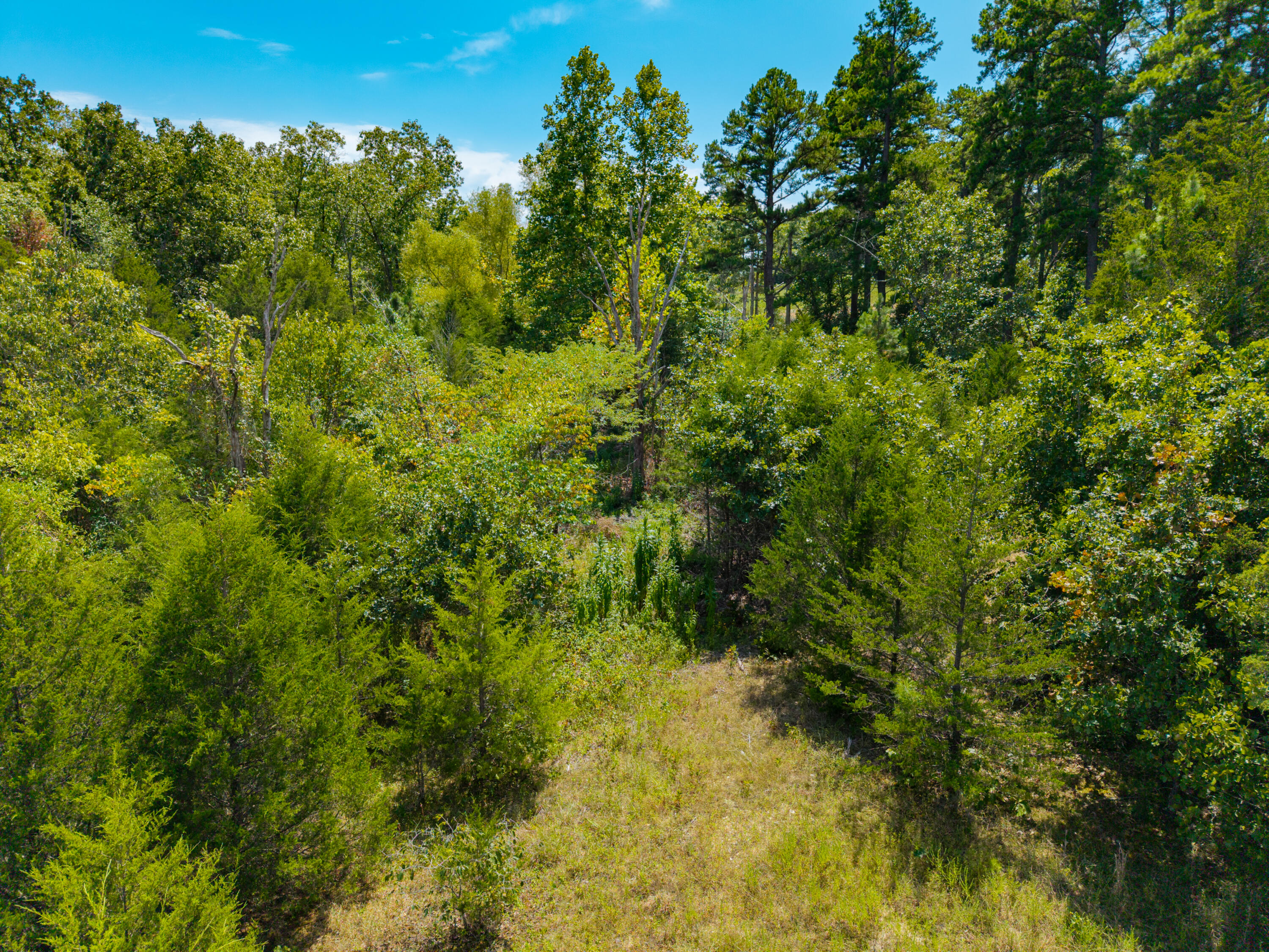 Photo 20 - Land for sale – Lot 1  Malberg Road  Cabool, MO