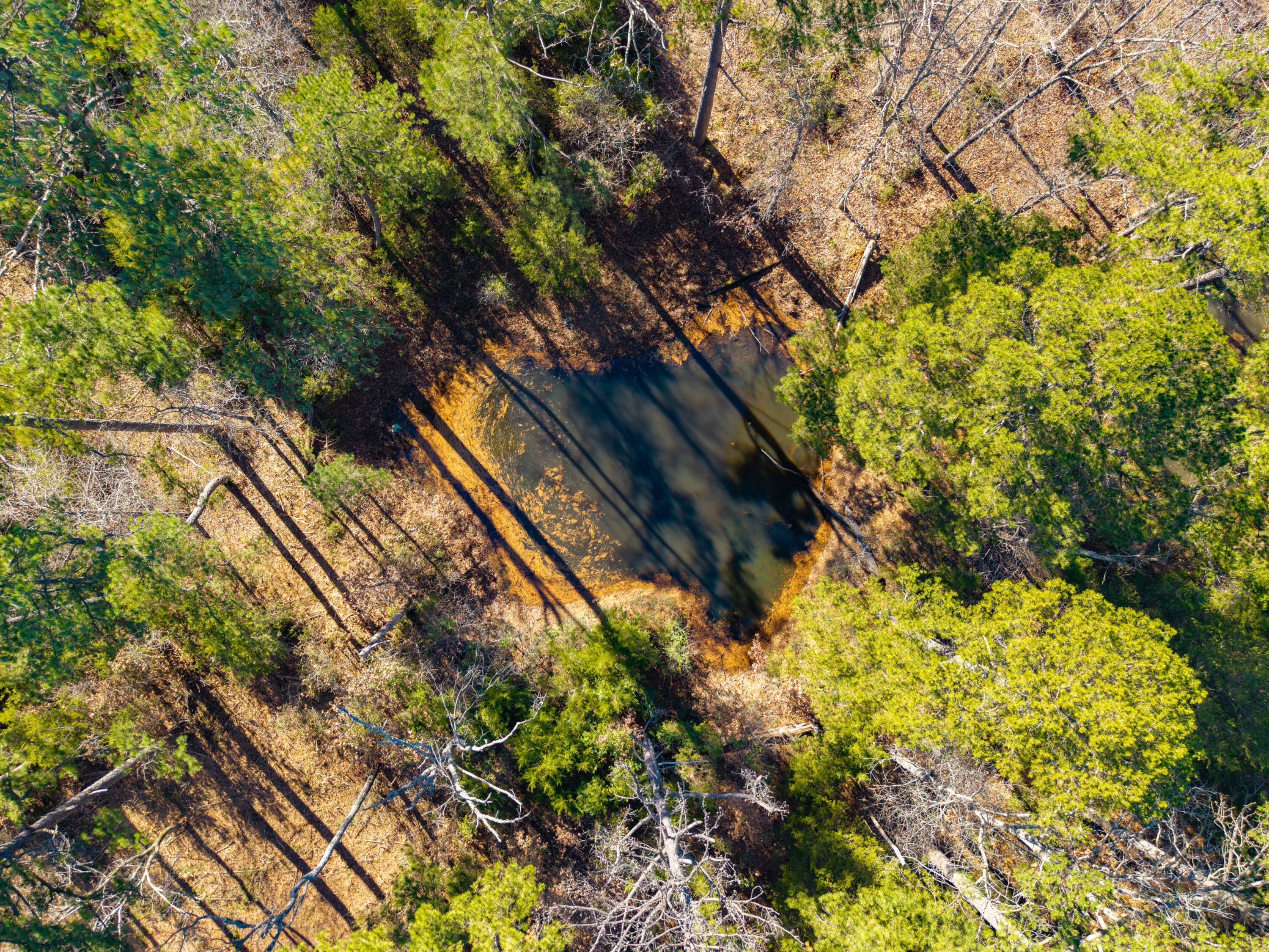 Photo 18 - Land for sale – Lot 3  Malberg Road  Cabool, MO