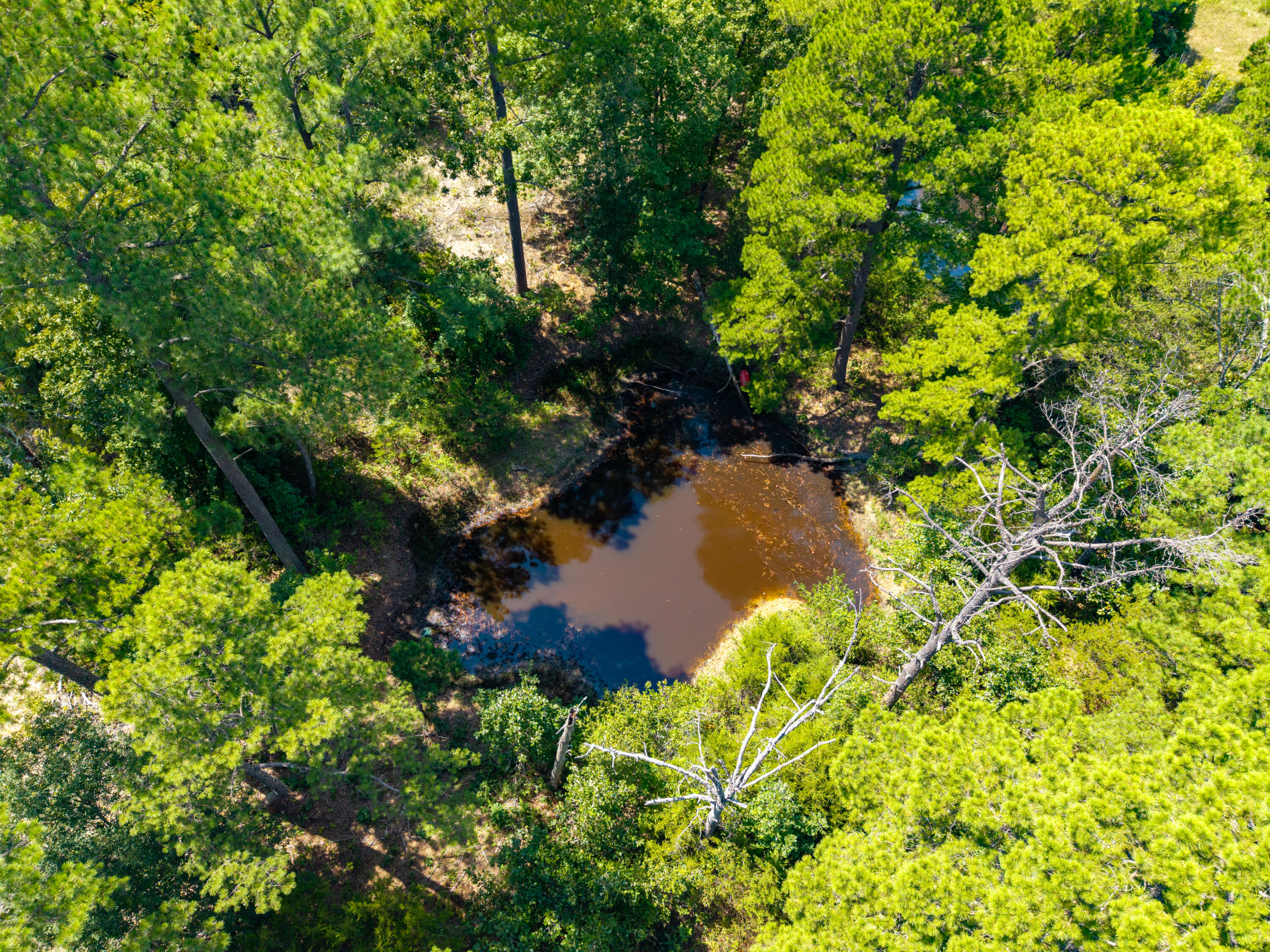 Photo 13 - Land for sale – Lot 3  Malberg Road  Cabool, MO