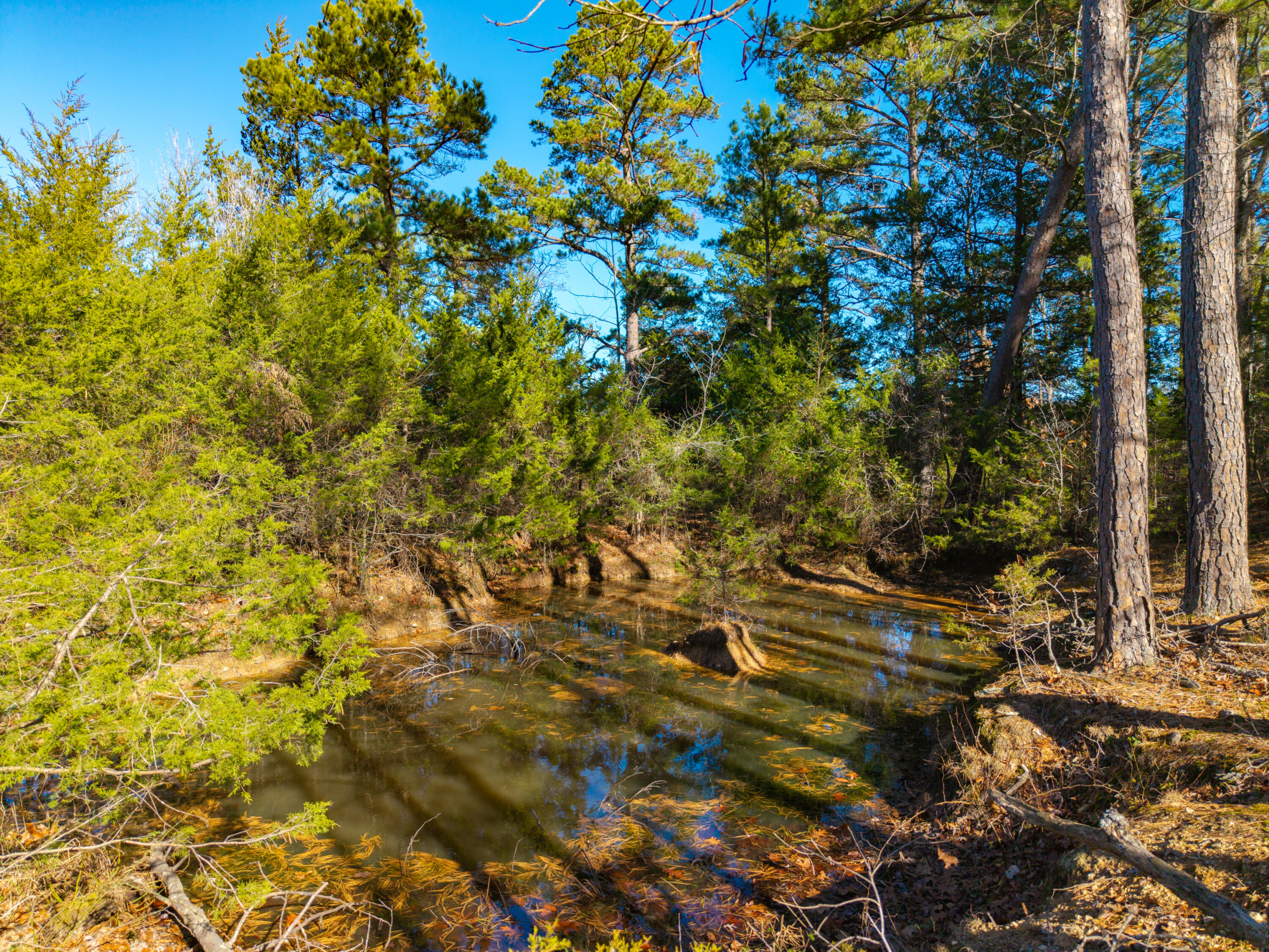 Photo 19 - Land for sale – Lot 3  Malberg Road  Cabool, MO