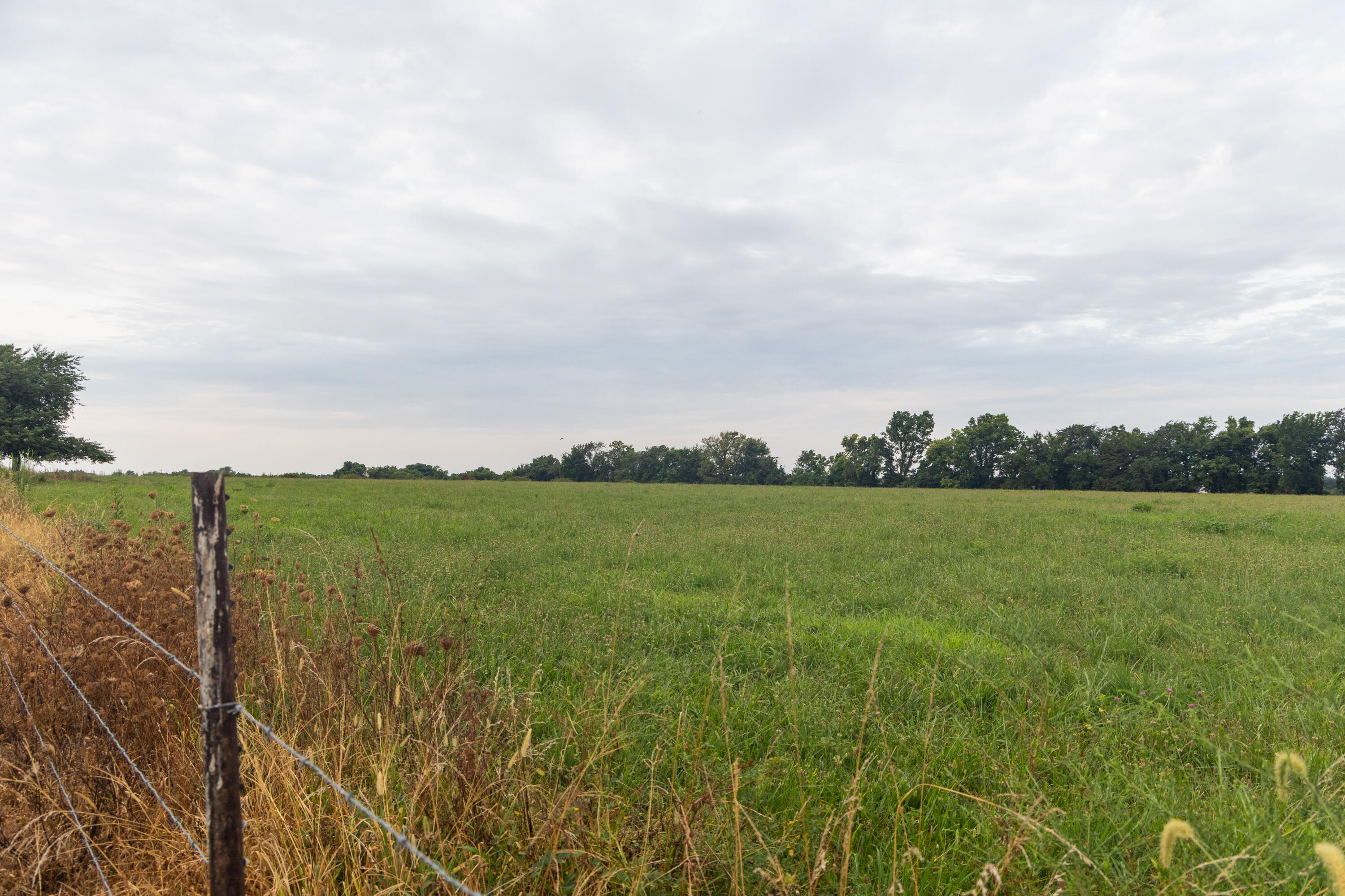 Photo 54 - Farm for sale – 10559  Lawrence 2160   Mt Vernon, MO