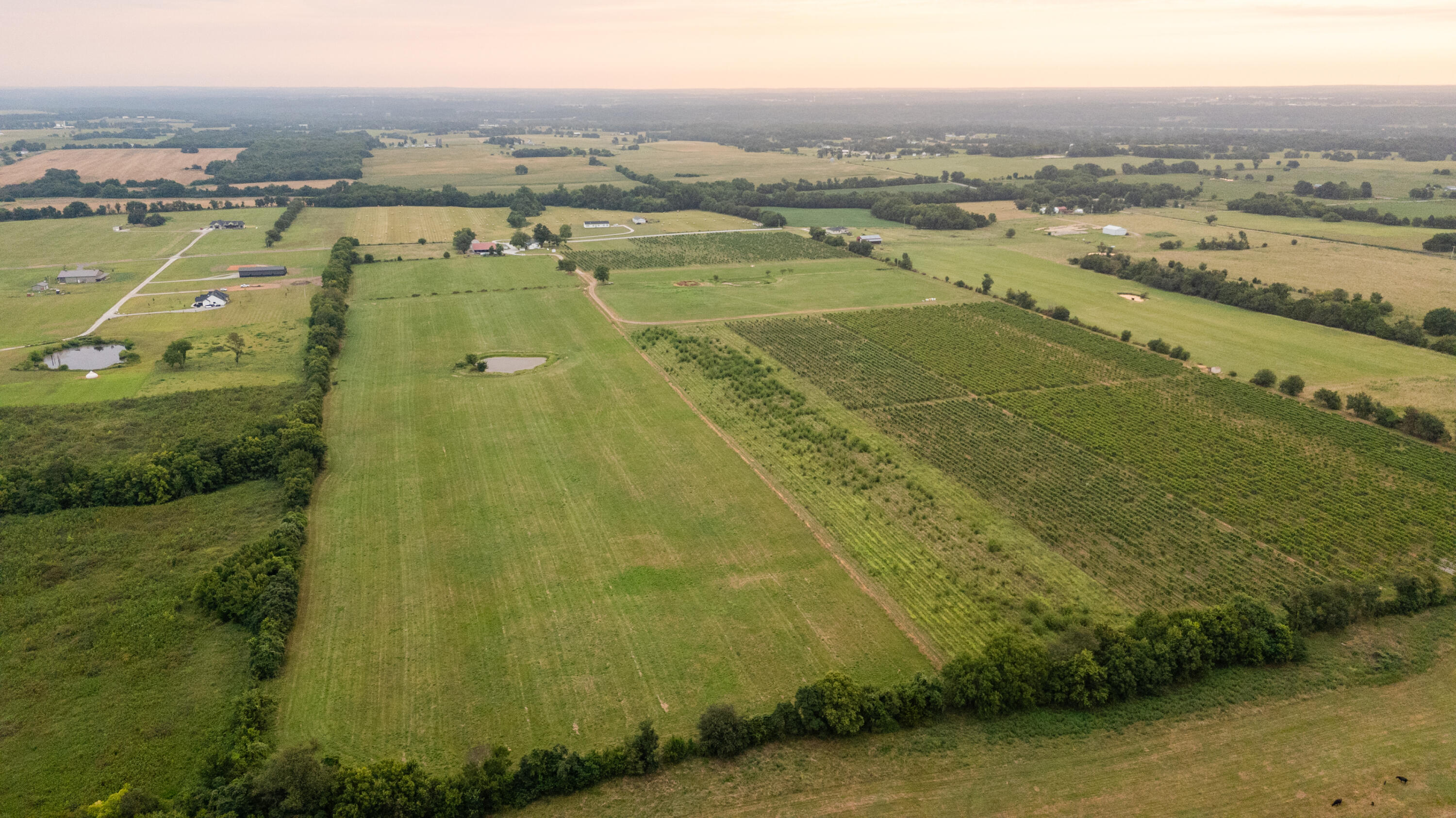 Photo 19 - Farm for sale – 10559  Lawrence 2160   Mt Vernon, MO