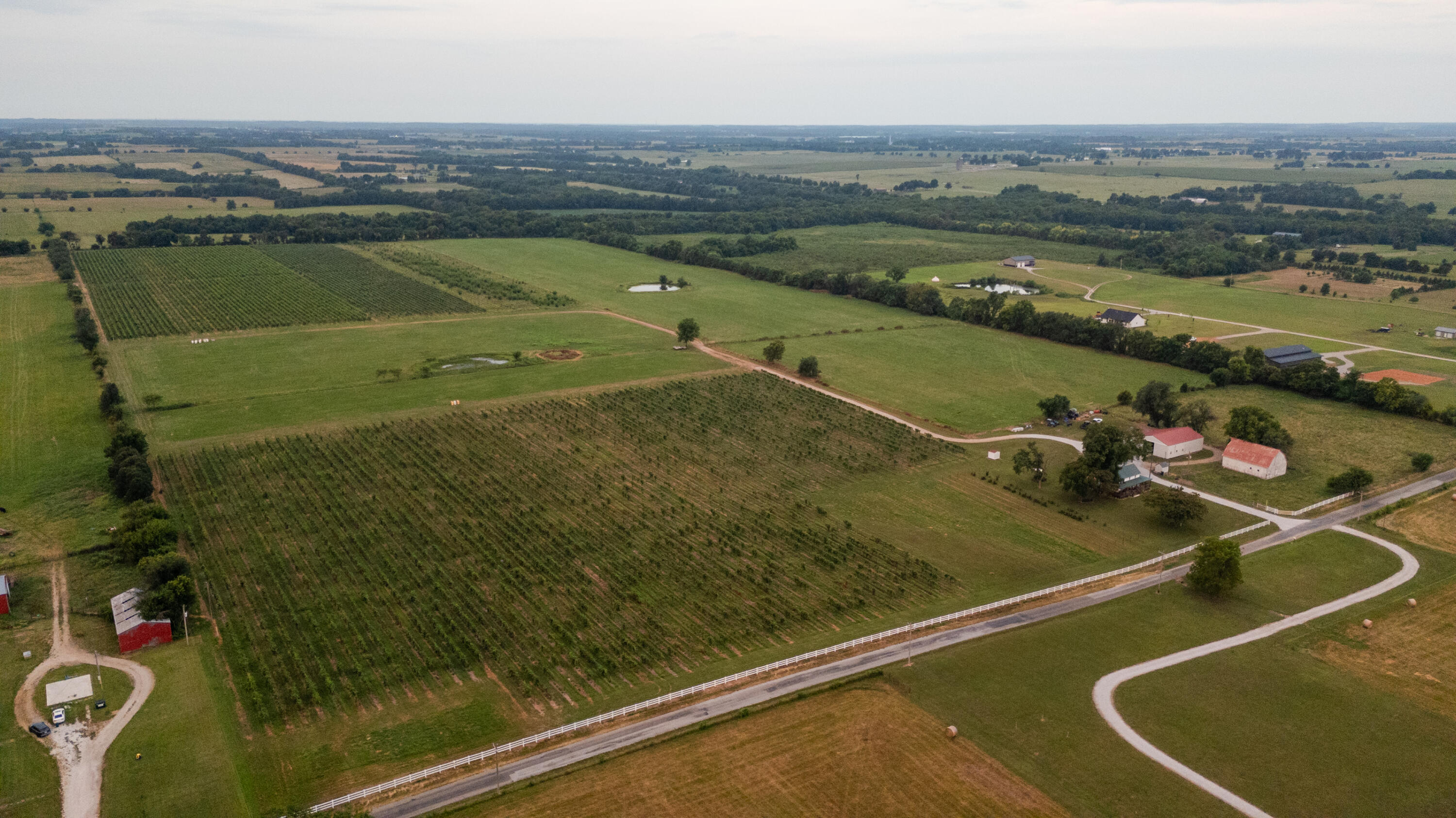 Photo 5 - Farm for sale – 10559  Lawrence 2160   Mt Vernon, MO