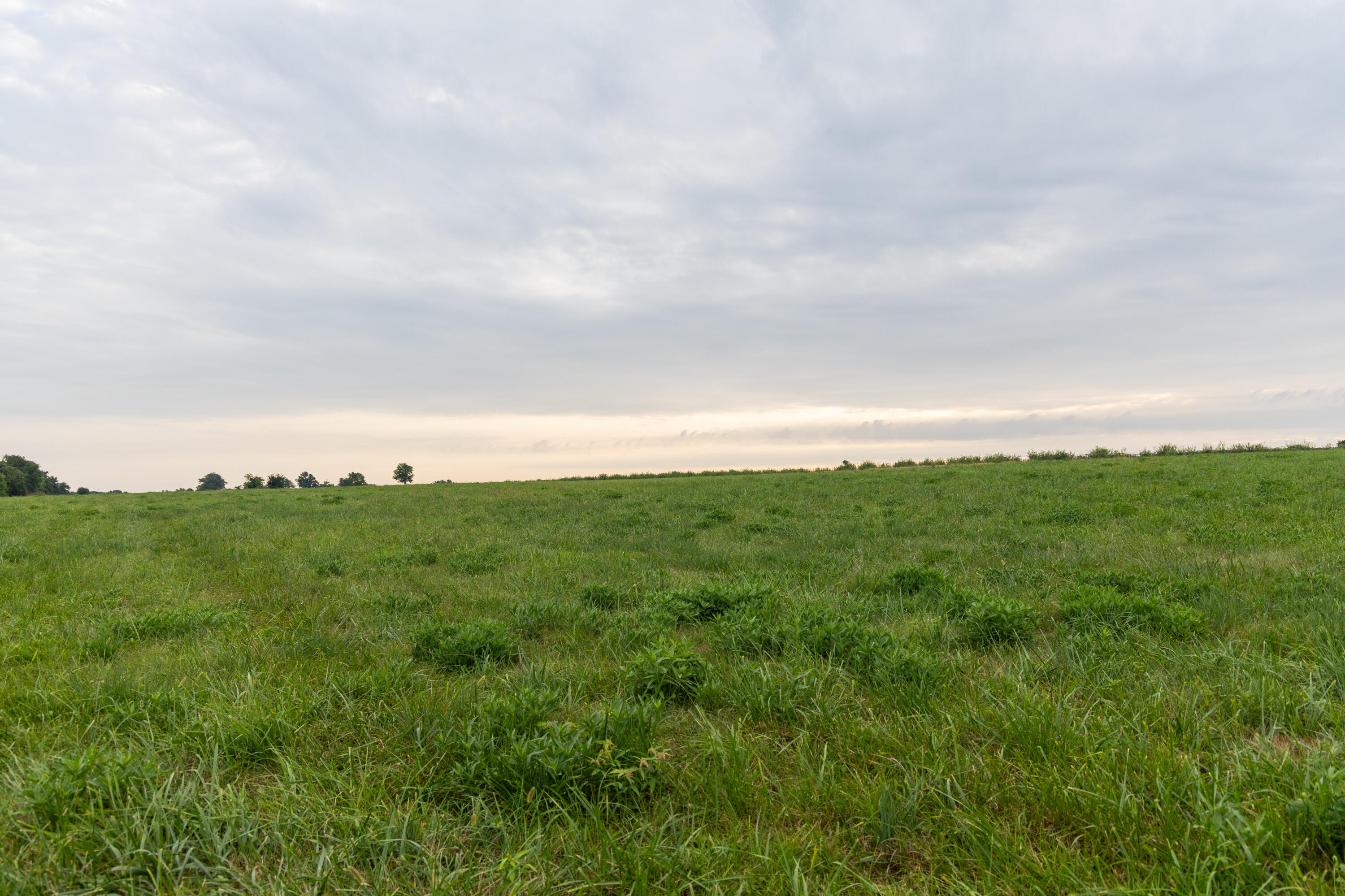 Photo 72 - Farm for sale – 10559  Lawrence 2160   Mt Vernon, MO