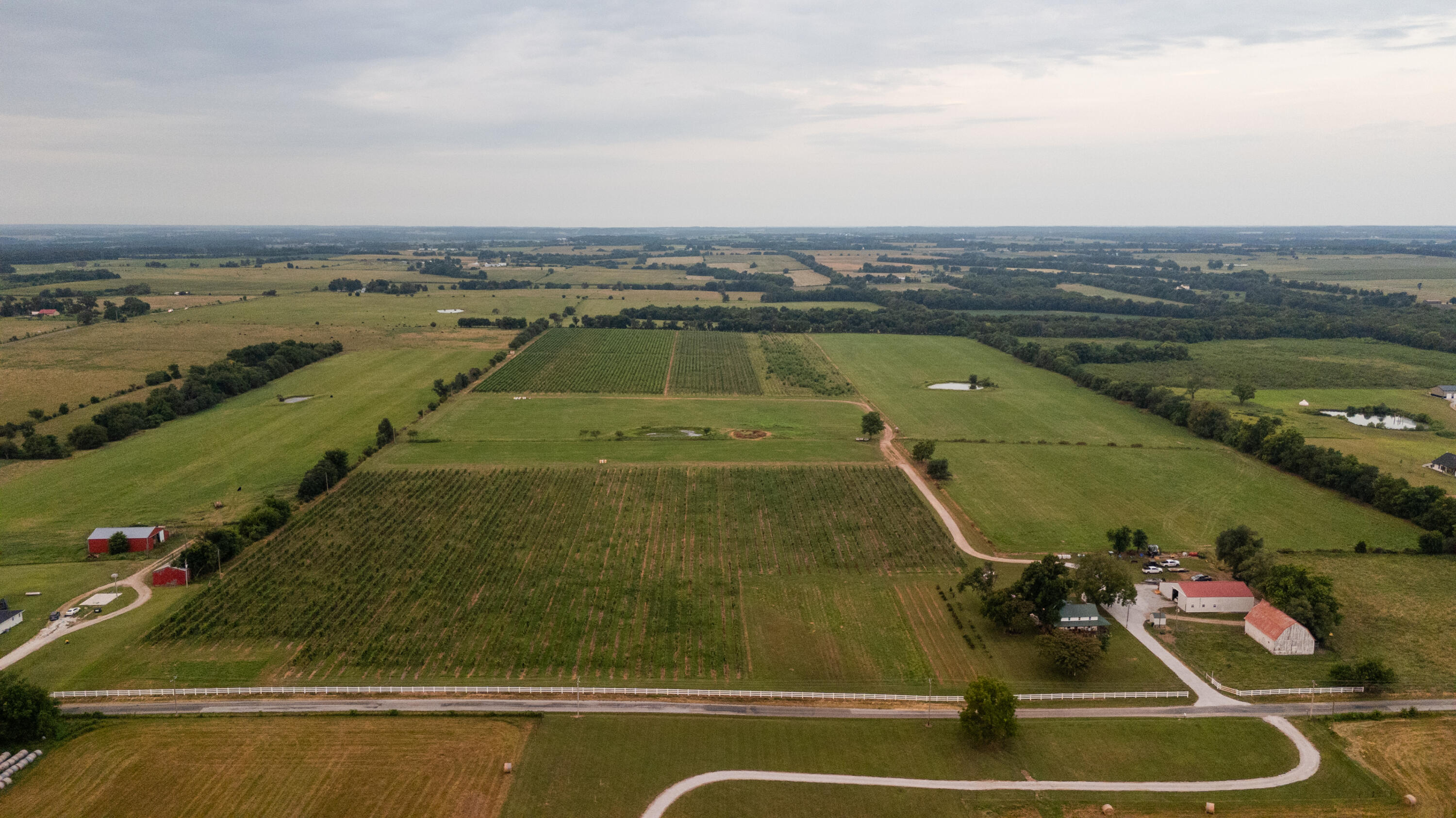 Photo 4 - Farm for sale – 10559  Lawrence 2160   Mt Vernon, MO