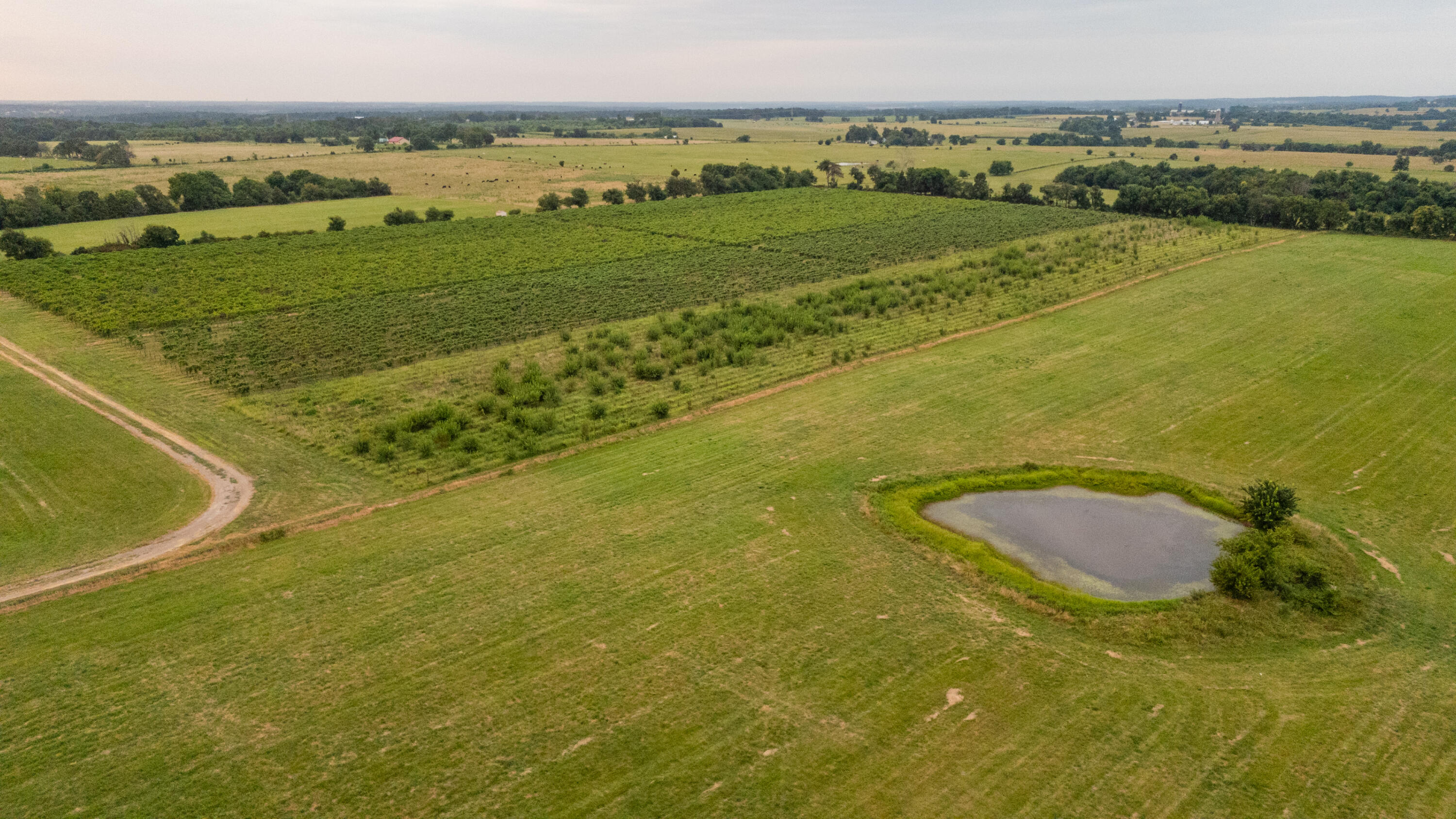 Photo 17 - Farm for sale – 10559  Lawrence 2160   Mt Vernon, MO