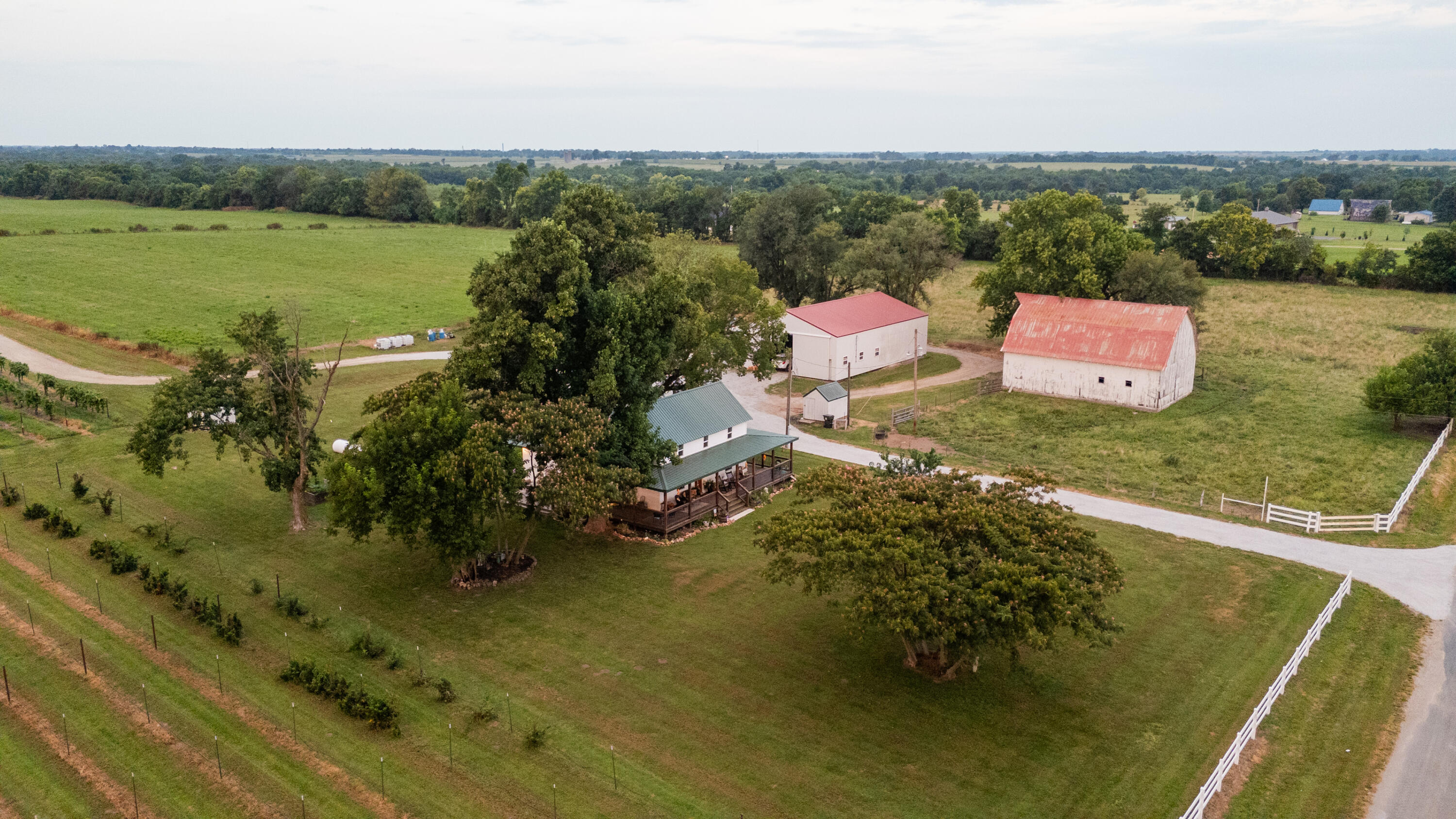 Photo 8 - Farm for sale – 10559  Lawrence 2160   Mt Vernon, MO