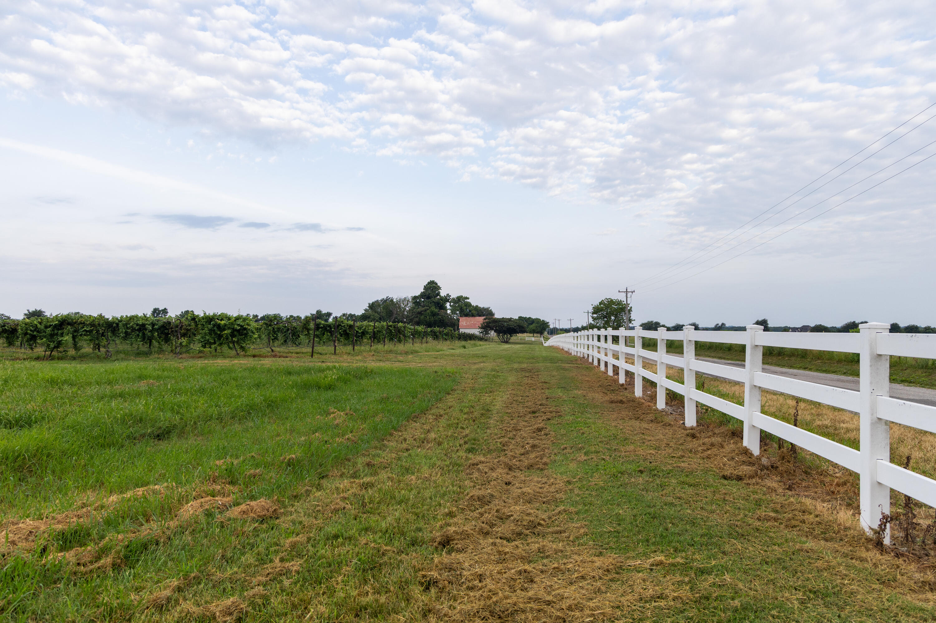 Photo 73 - Farm for sale – 10559  Lawrence 2160   Mt Vernon, MO