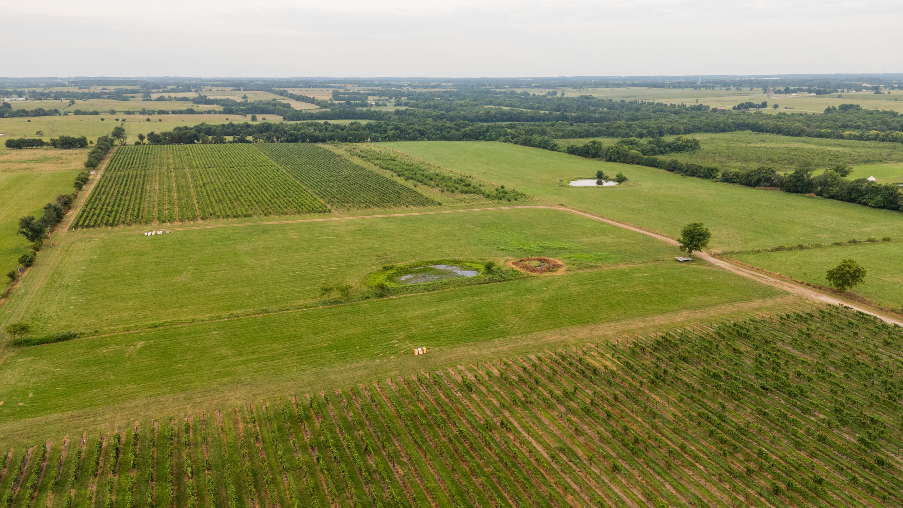 Photo 16 - Farm for sale – 10559  Lawrence 2160   Mt Vernon, MO
