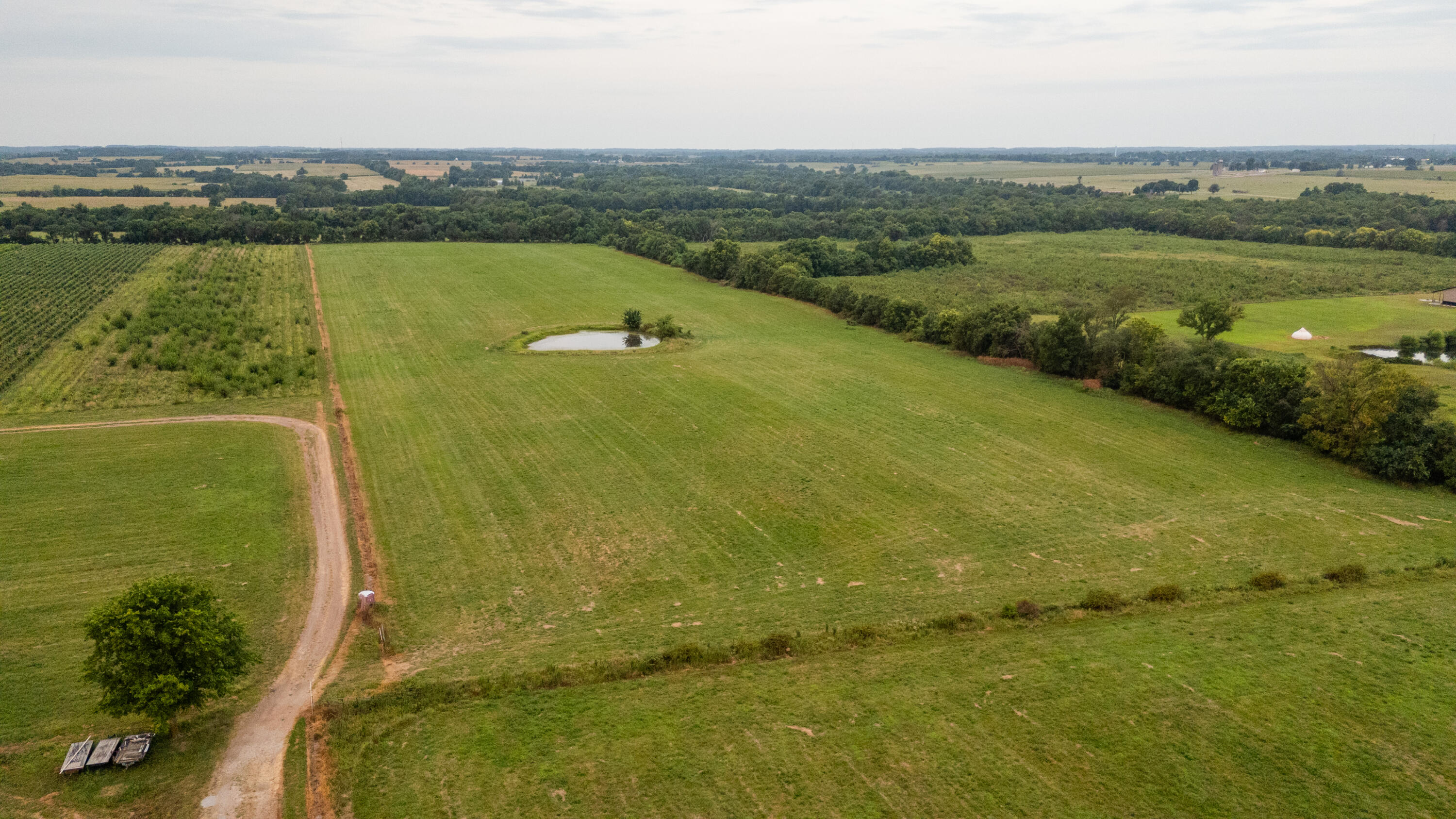 Photo 23 - Farm for sale – 10559  Lawrence 2160   Mt Vernon, MO