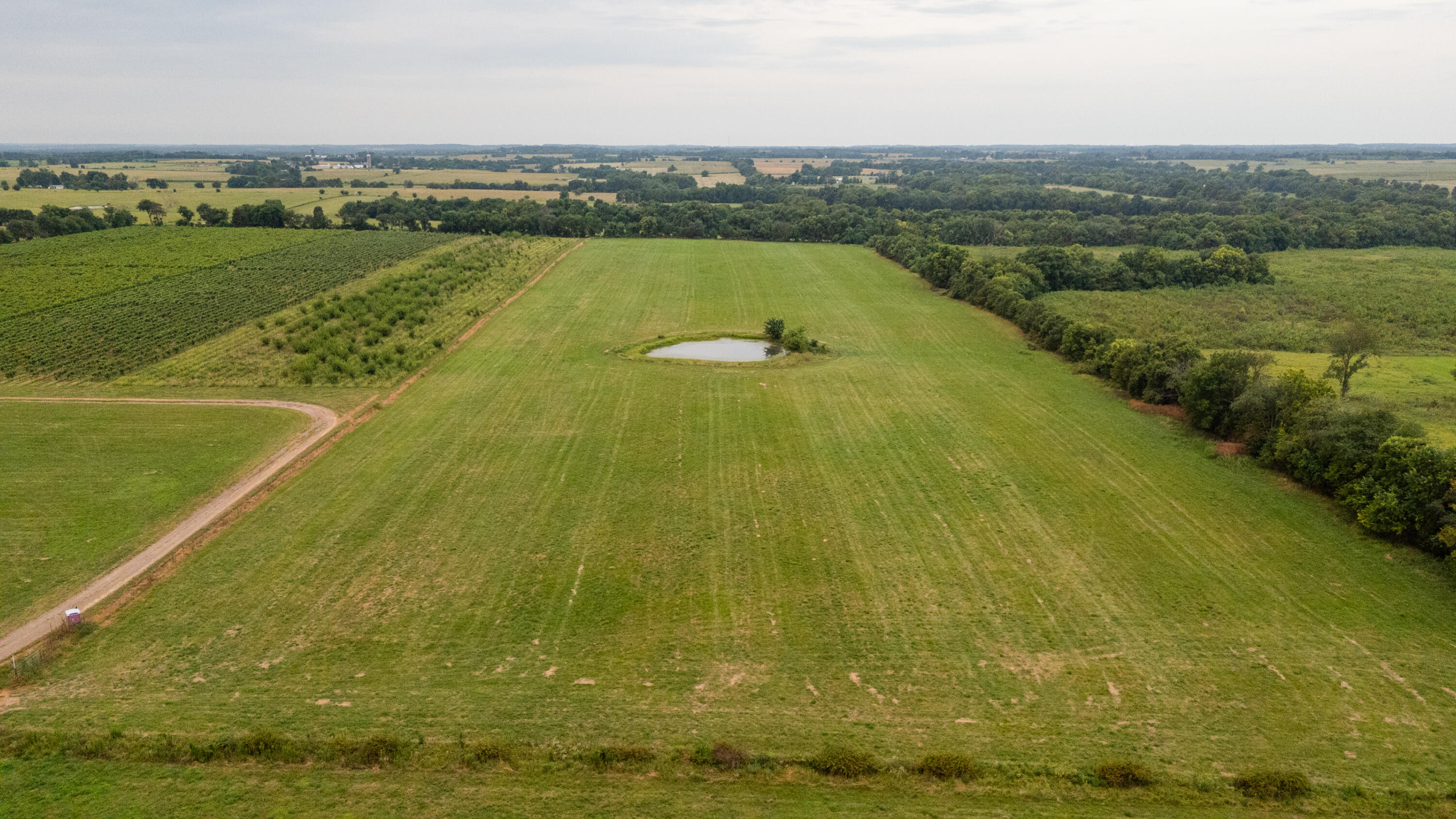 Photo 15 - Farm for sale – 10559  Lawrence 2160   Mt Vernon, MO