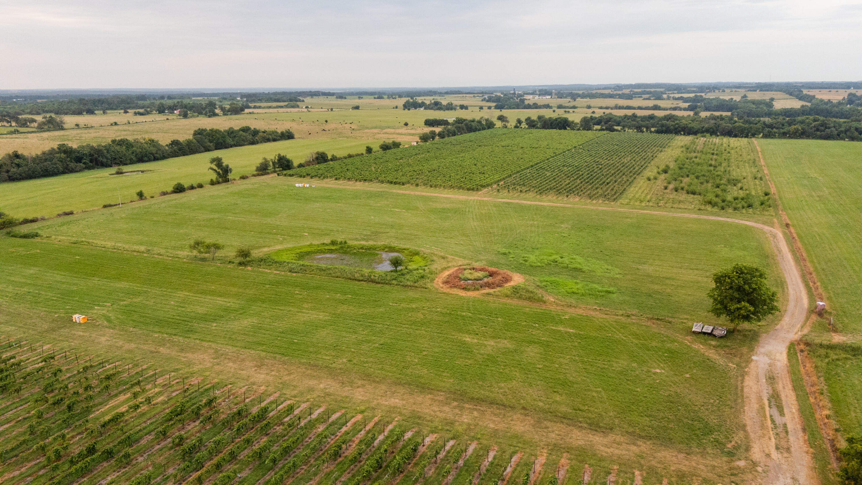 Photo 24 - Farm for sale – 10559  Lawrence 2160   Mt Vernon, MO