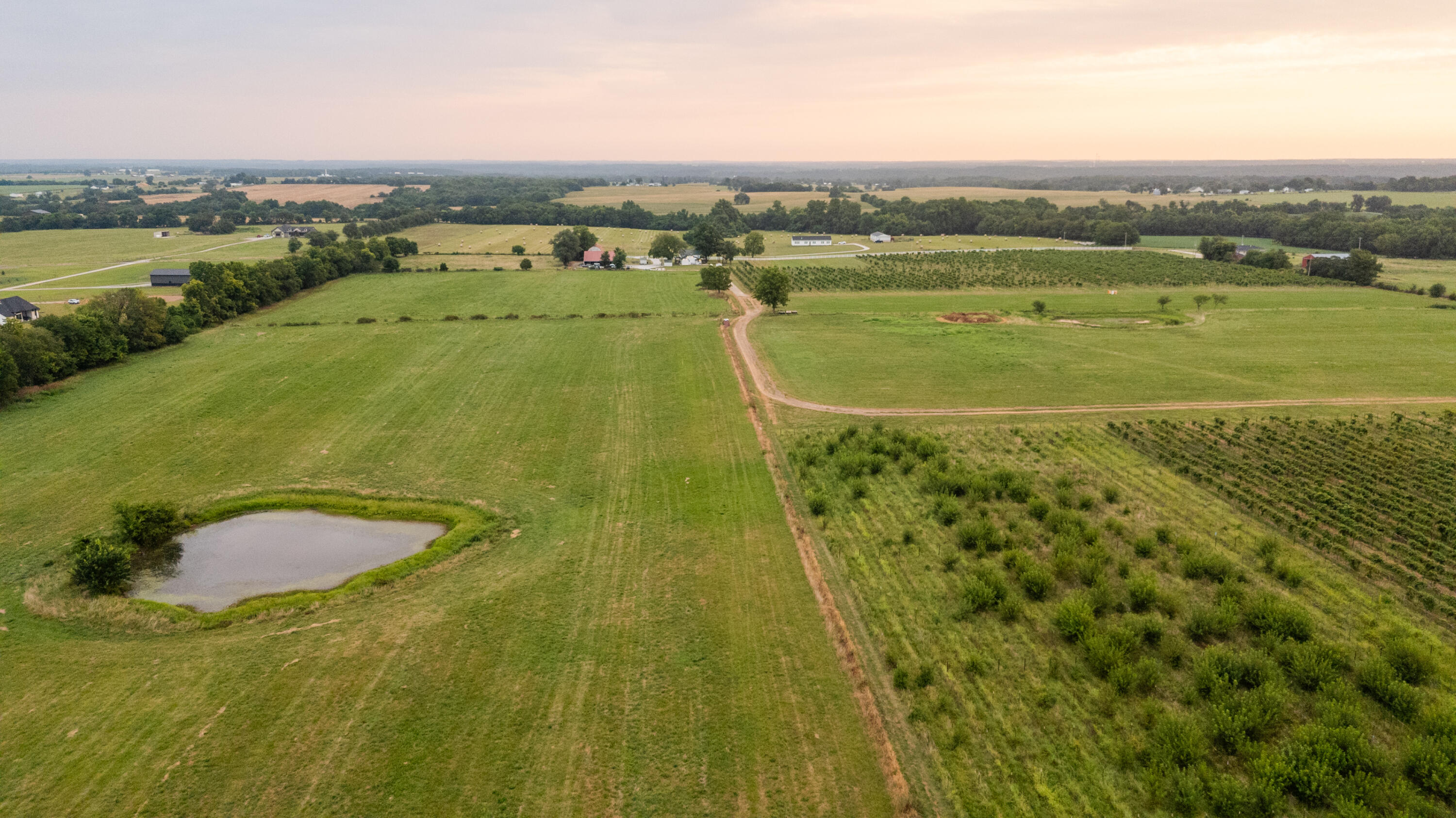 Photo 18 - Farm for sale – 10559  Lawrence 2160   Mt Vernon, MO