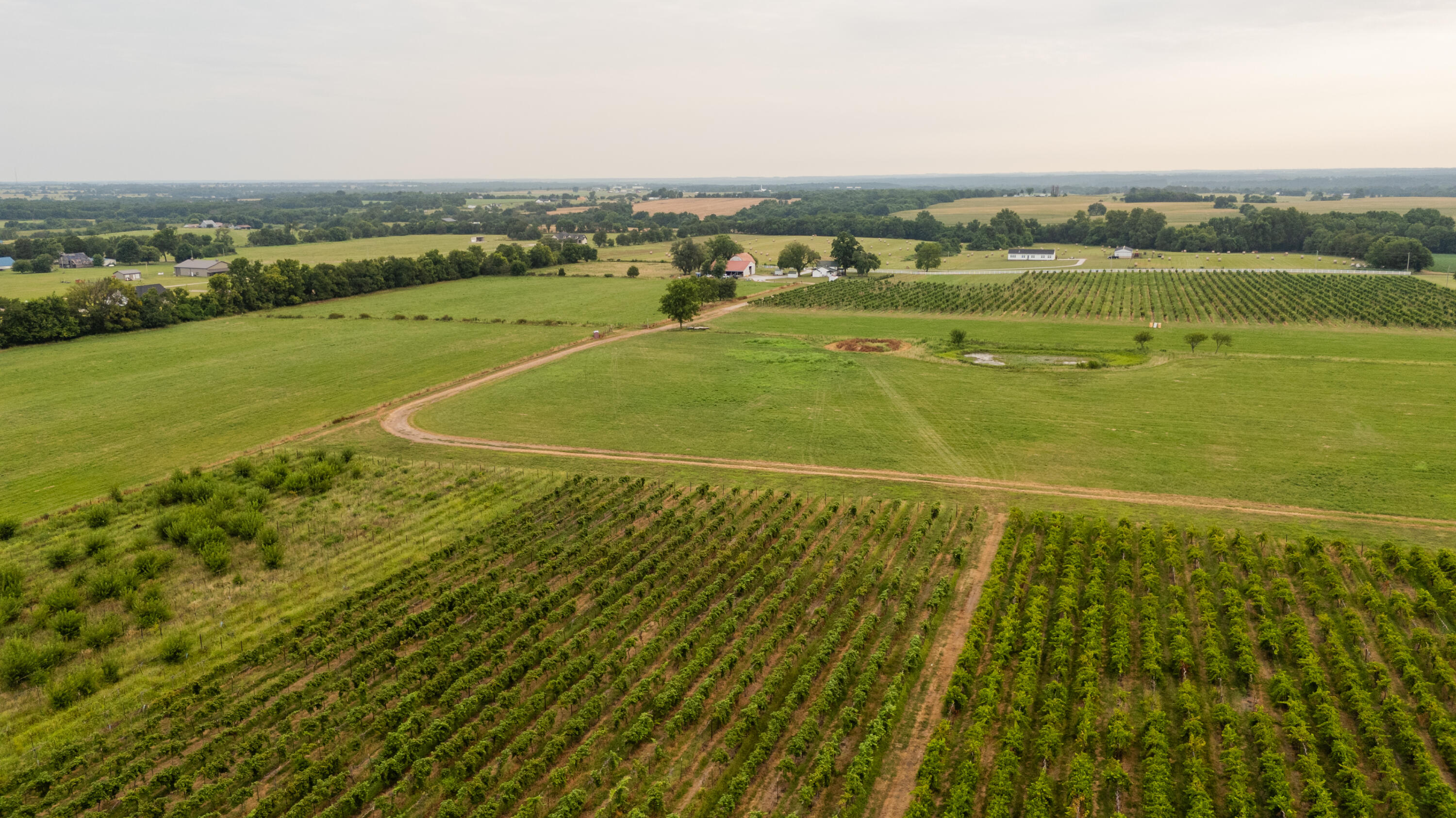 Photo 9 - Farm for sale – 10559  Lawrence 2160   Mt Vernon, MO