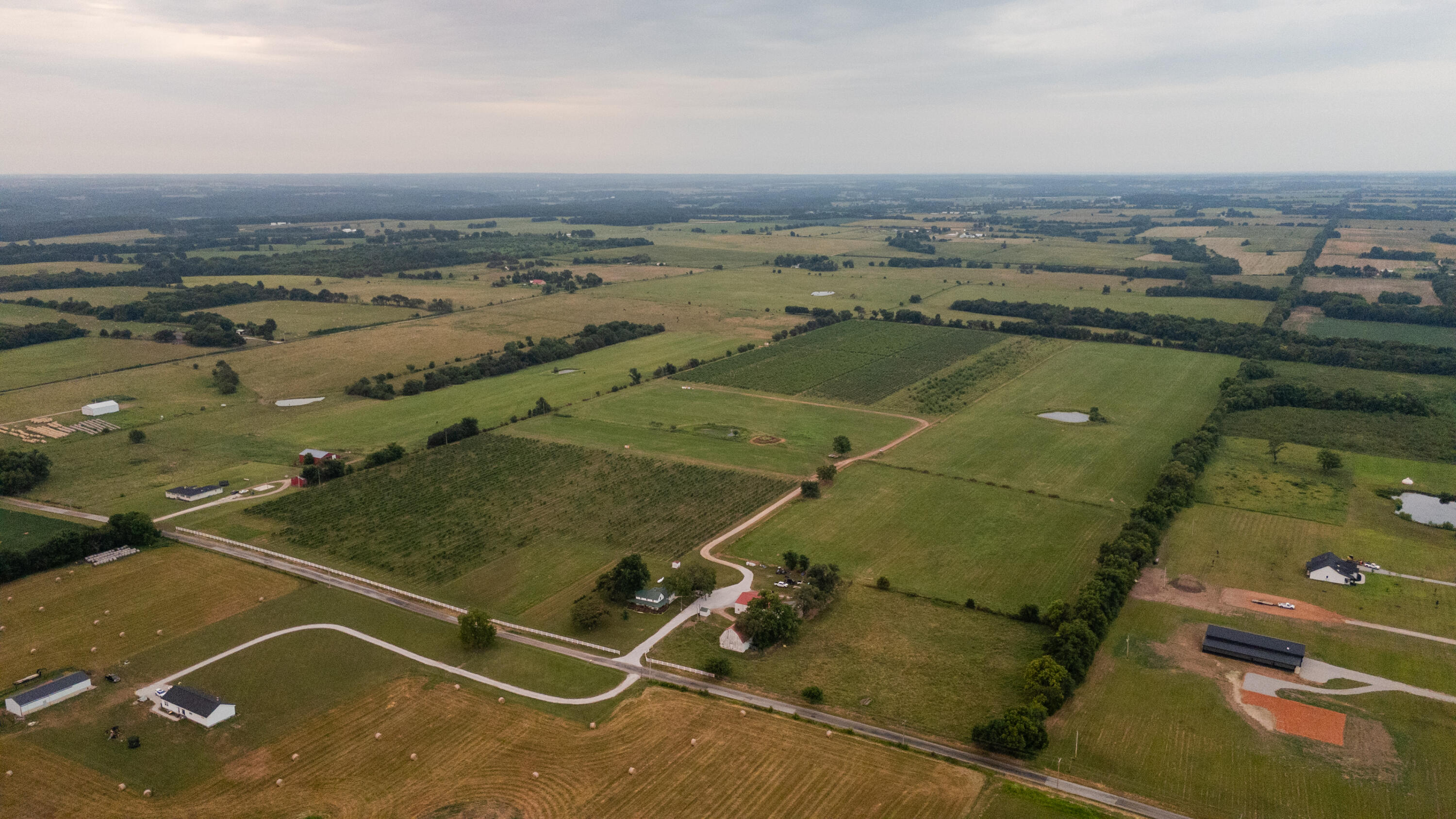 Photo 3 - Farm for sale – 10559  Lawrence 2160   Mt Vernon, MO