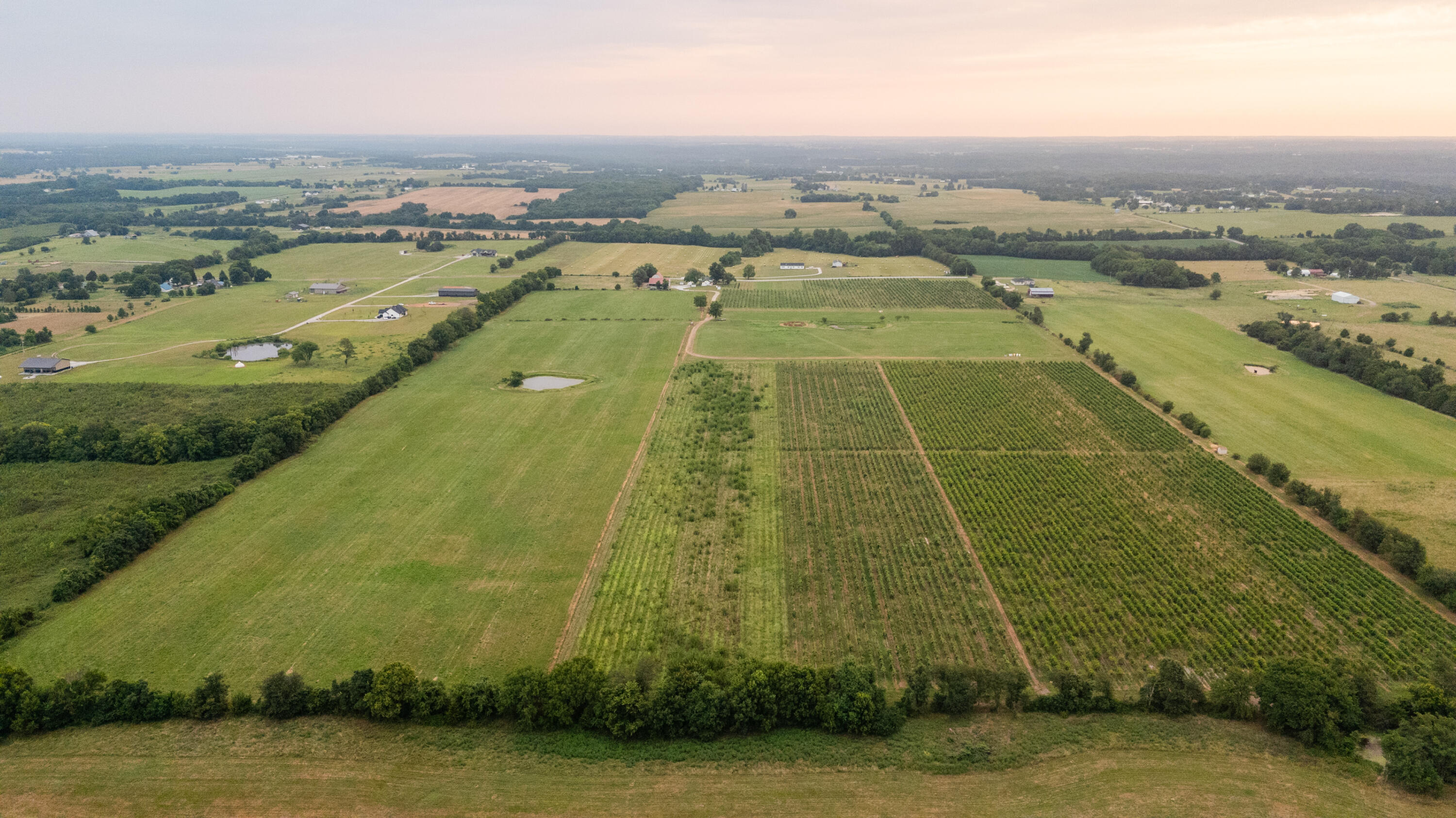 Photo 20 - Farm for sale – 10559  Lawrence 2160   Mt Vernon, MO