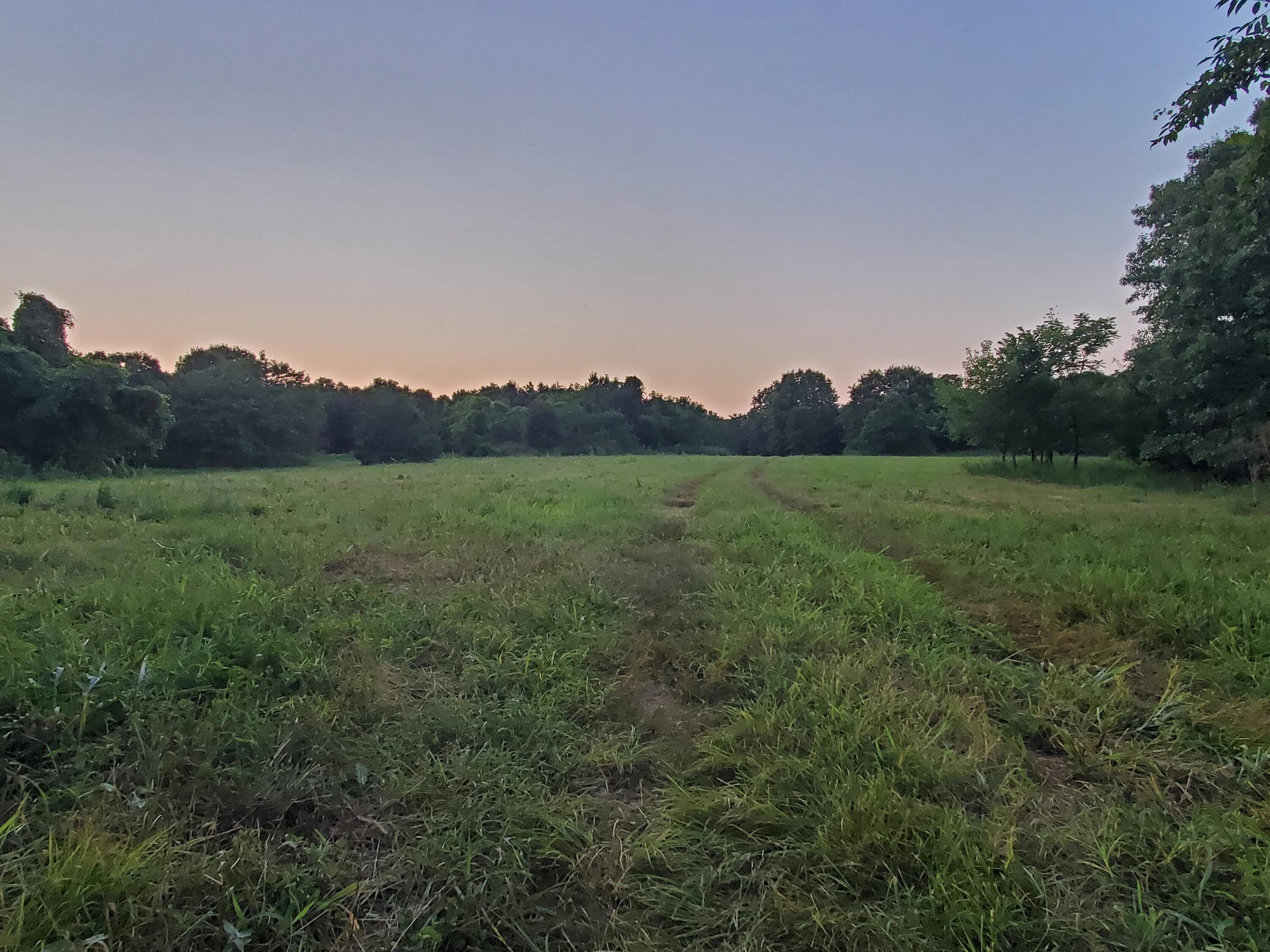 Photo 10 - Land for sale – 000  County Rd 2100   Mt Vernon, MO