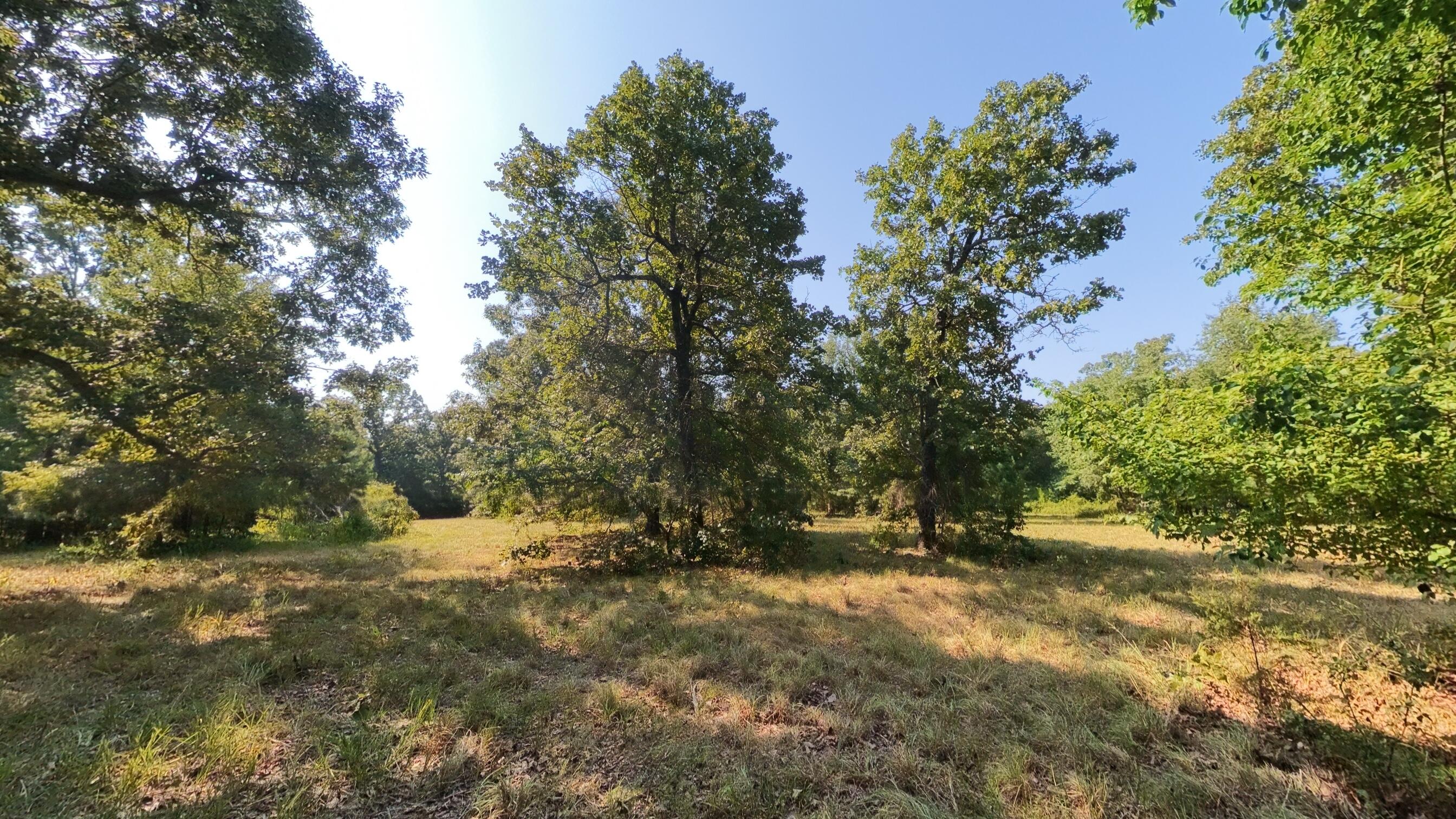 Photo 8 - Land for sale – 000  Highway 62/412   Highland, AR