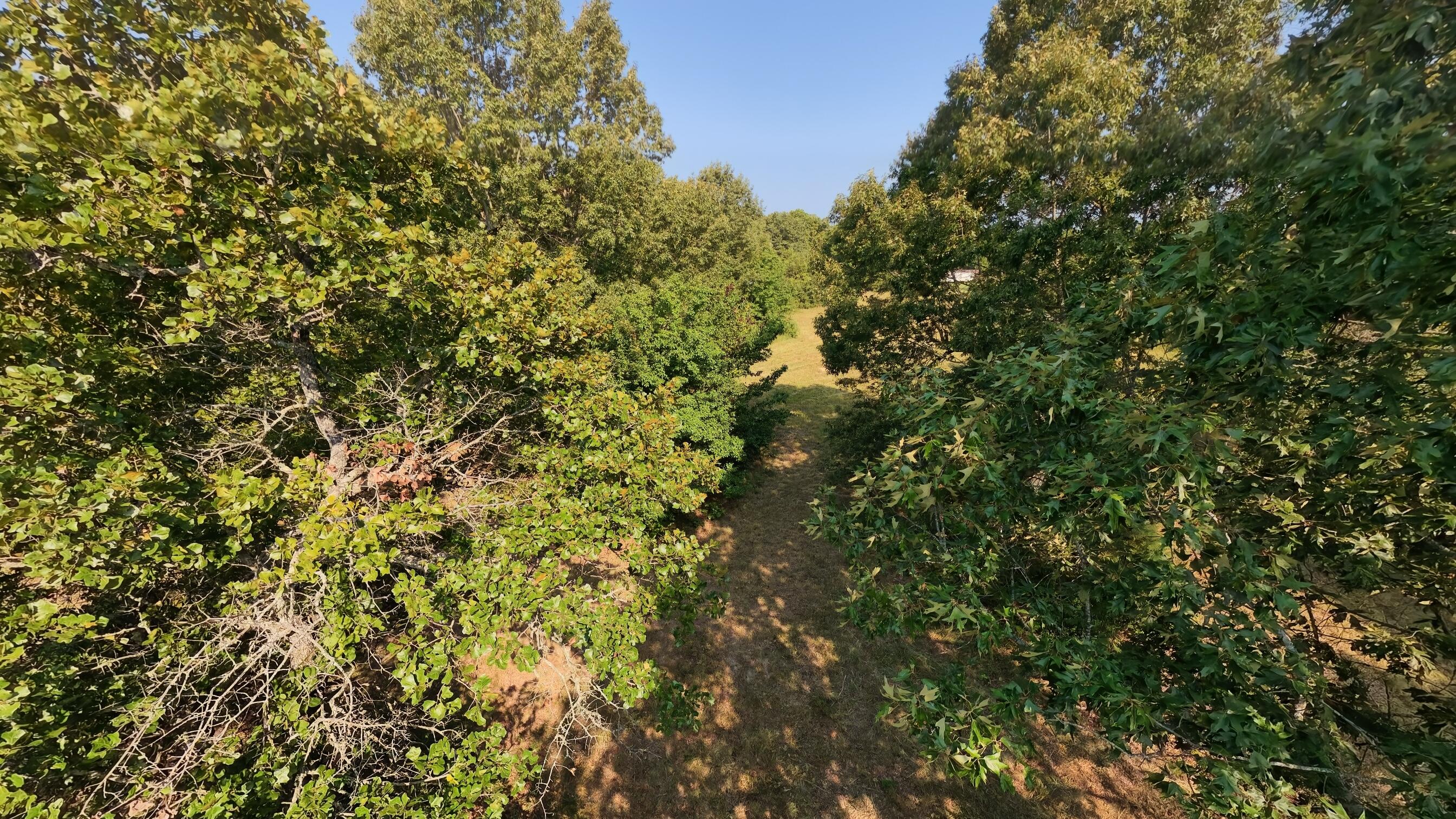 Photo 12 - Land for sale – 000  Highway 62/412   Highland, AR