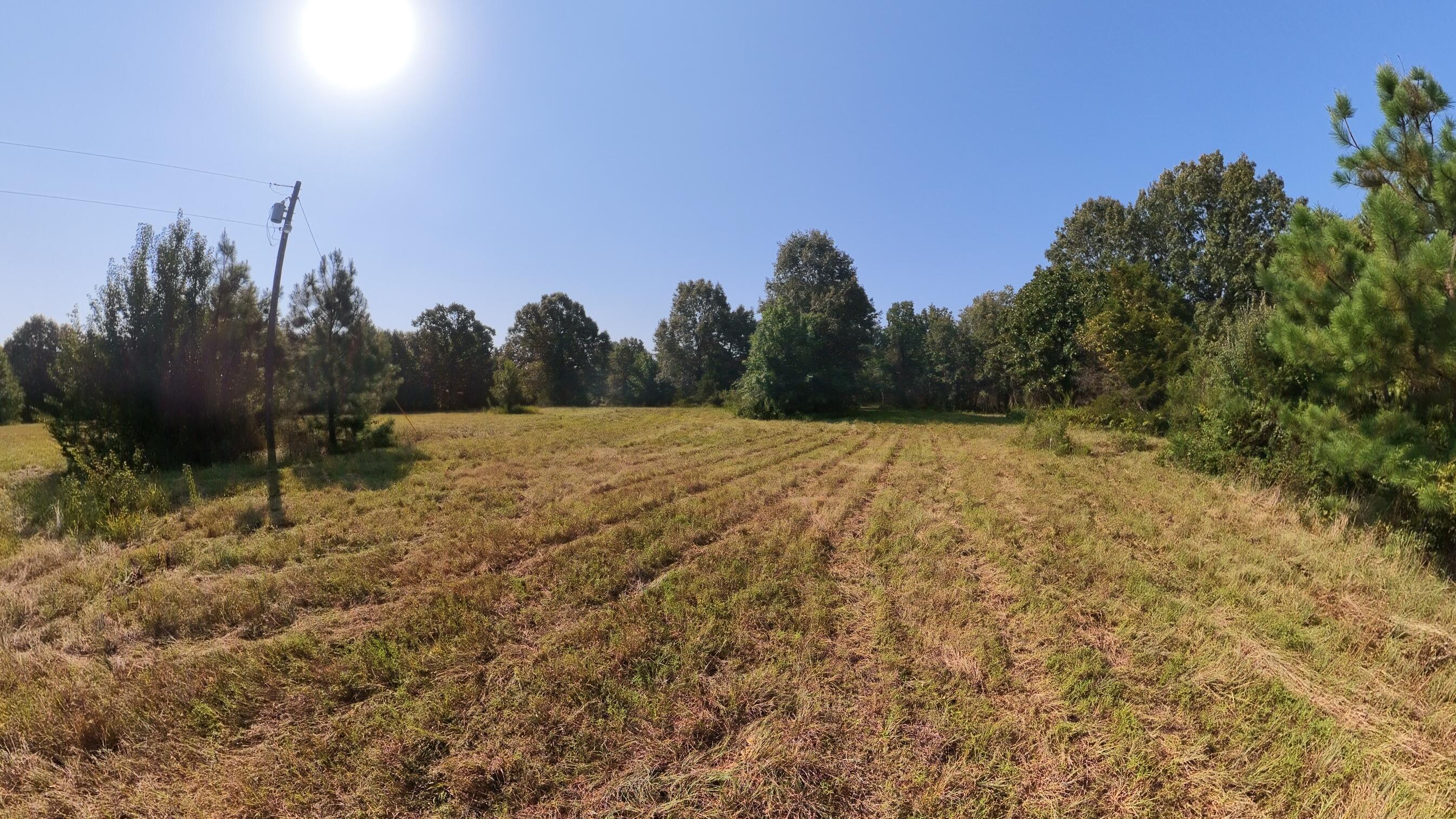 Photo 3 - Land for sale – 000  Highway 62/412   Highland, AR