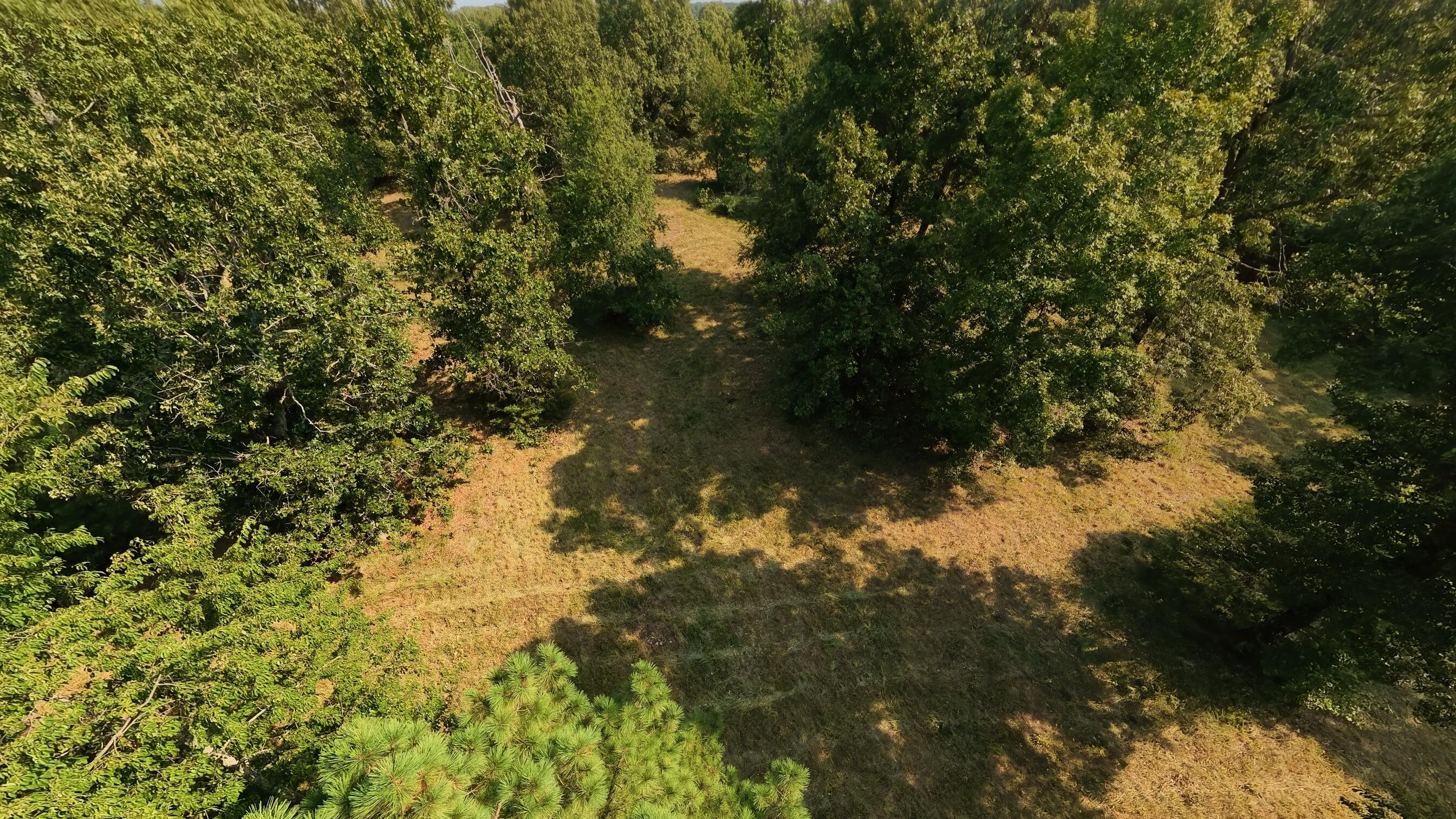 Photo 16 - Land for sale – 000  Highway 62/412   Highland, AR