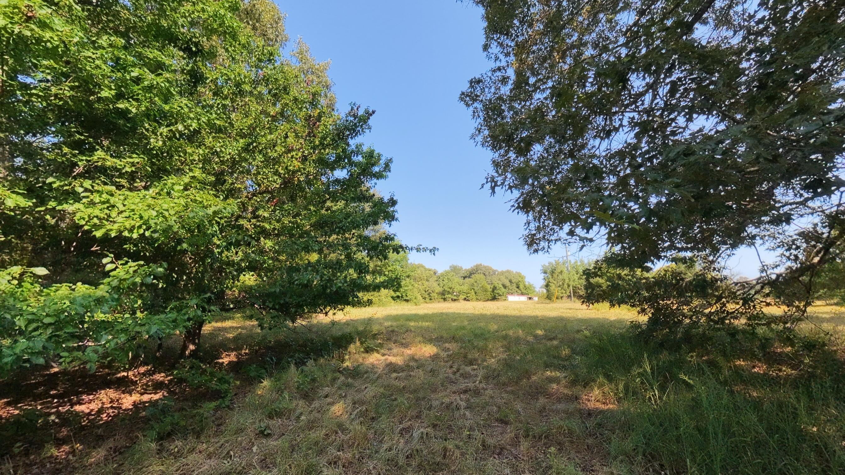 Photo 9 - Land for sale – 000  Highway 62/412   Highland, AR