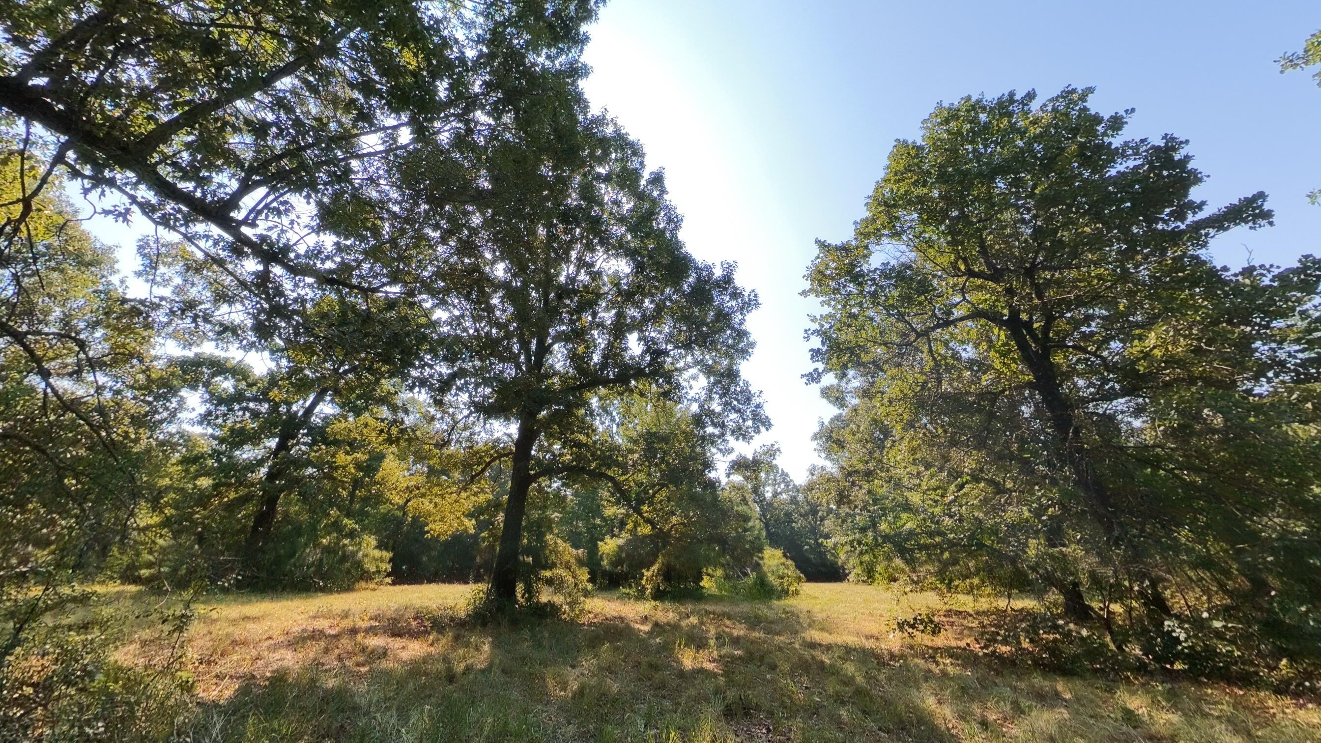Photo 7 - Land for sale – 000  Highway 62/412   Highland, AR