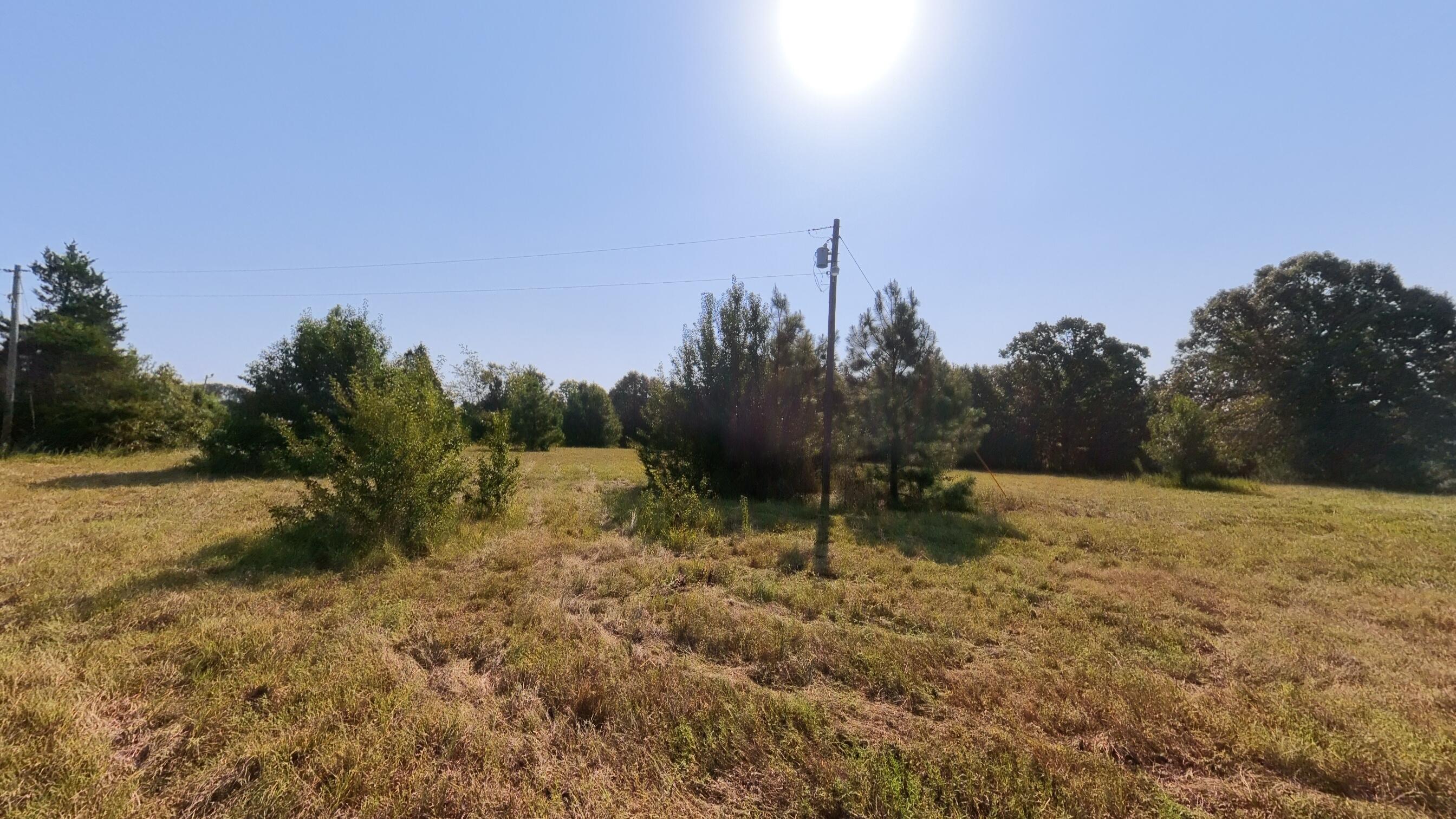 Photo 4 - Land for sale – 000  Highway 62/412   Highland, AR