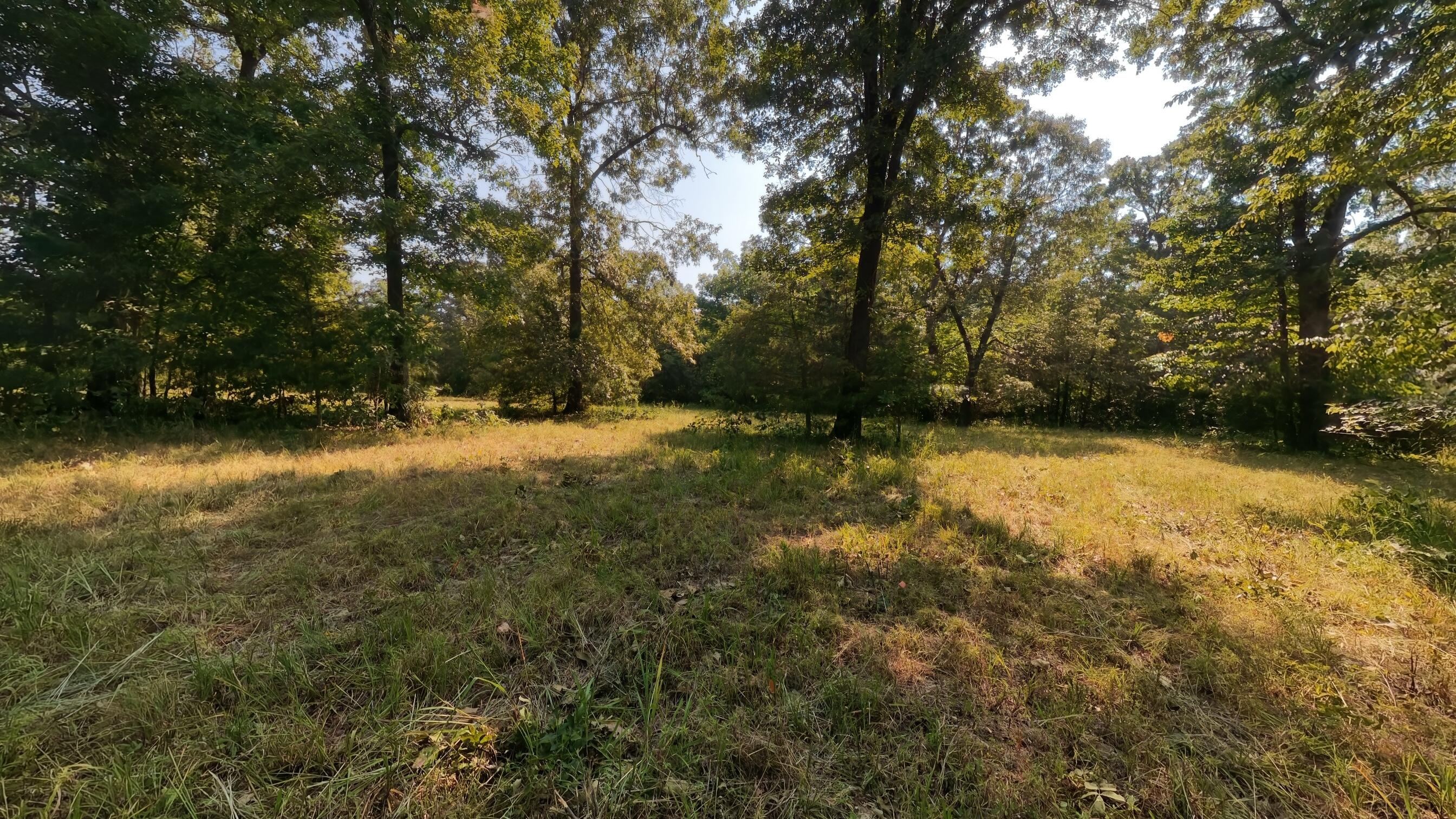 Photo 20 - Land for sale – 000  Highway 62/412   Highland, AR