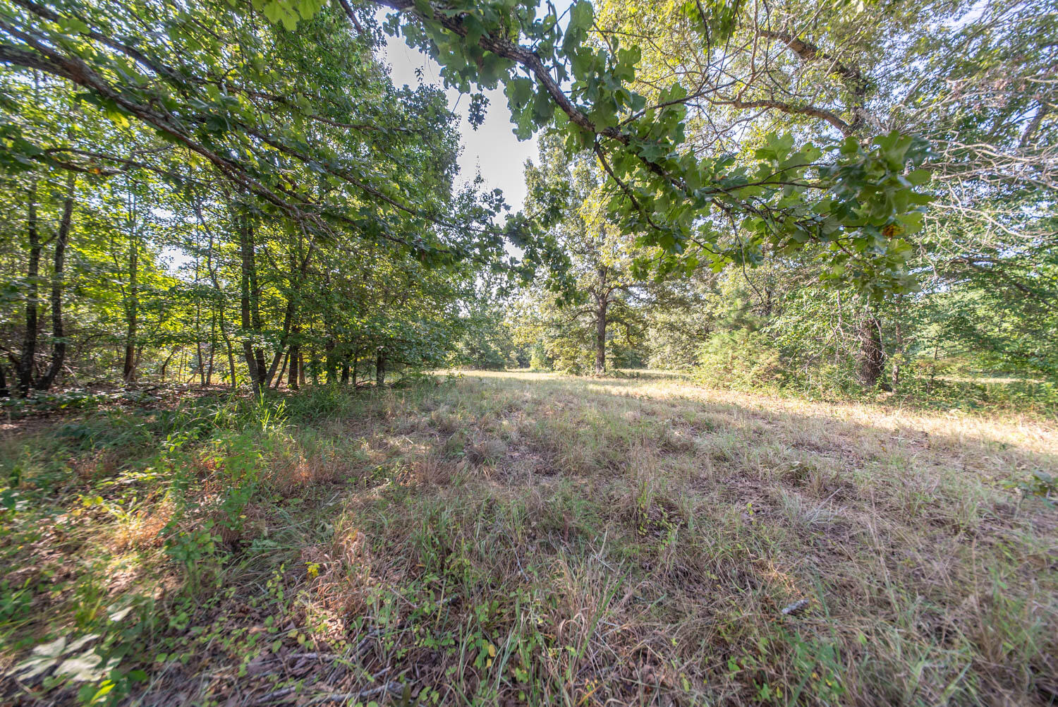 Photo 25 - Land for sale – 000  Highway 62/412   Highland, AR