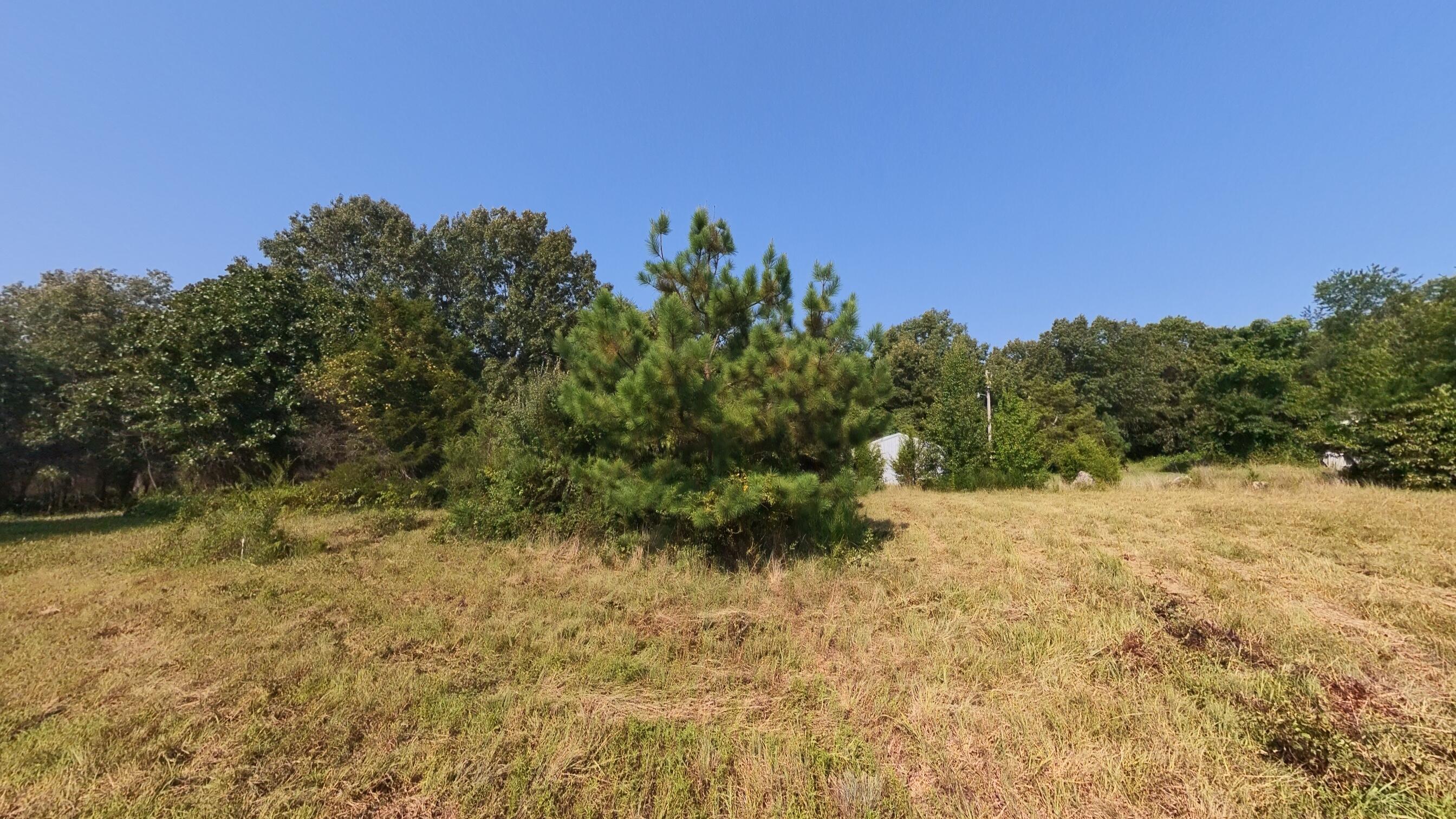 Photo 6 - Land for sale – 000  Highway 62/412   Highland, AR