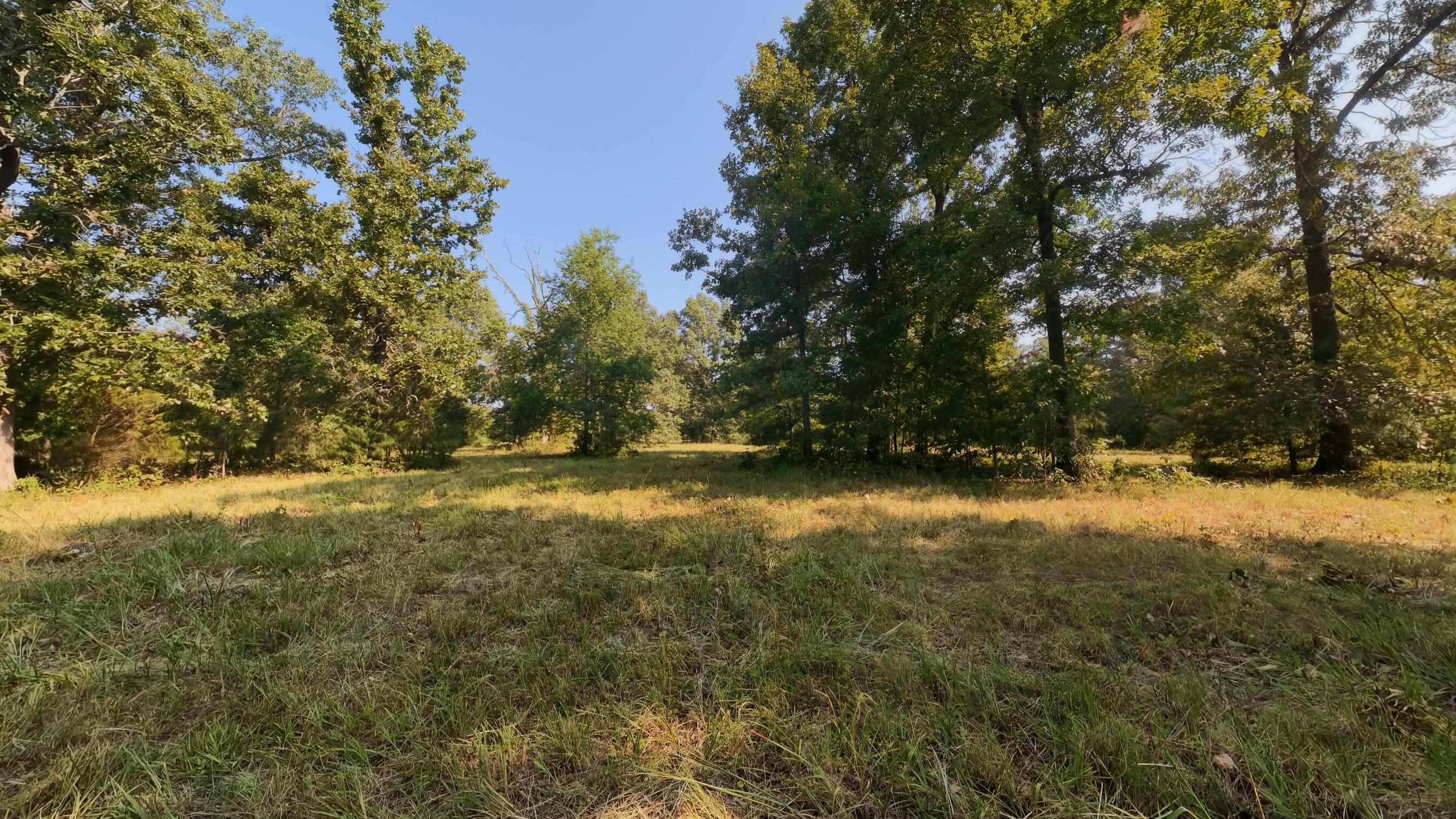 Photo 19 - Land for sale – 000  Highway 62/412   Highland, AR