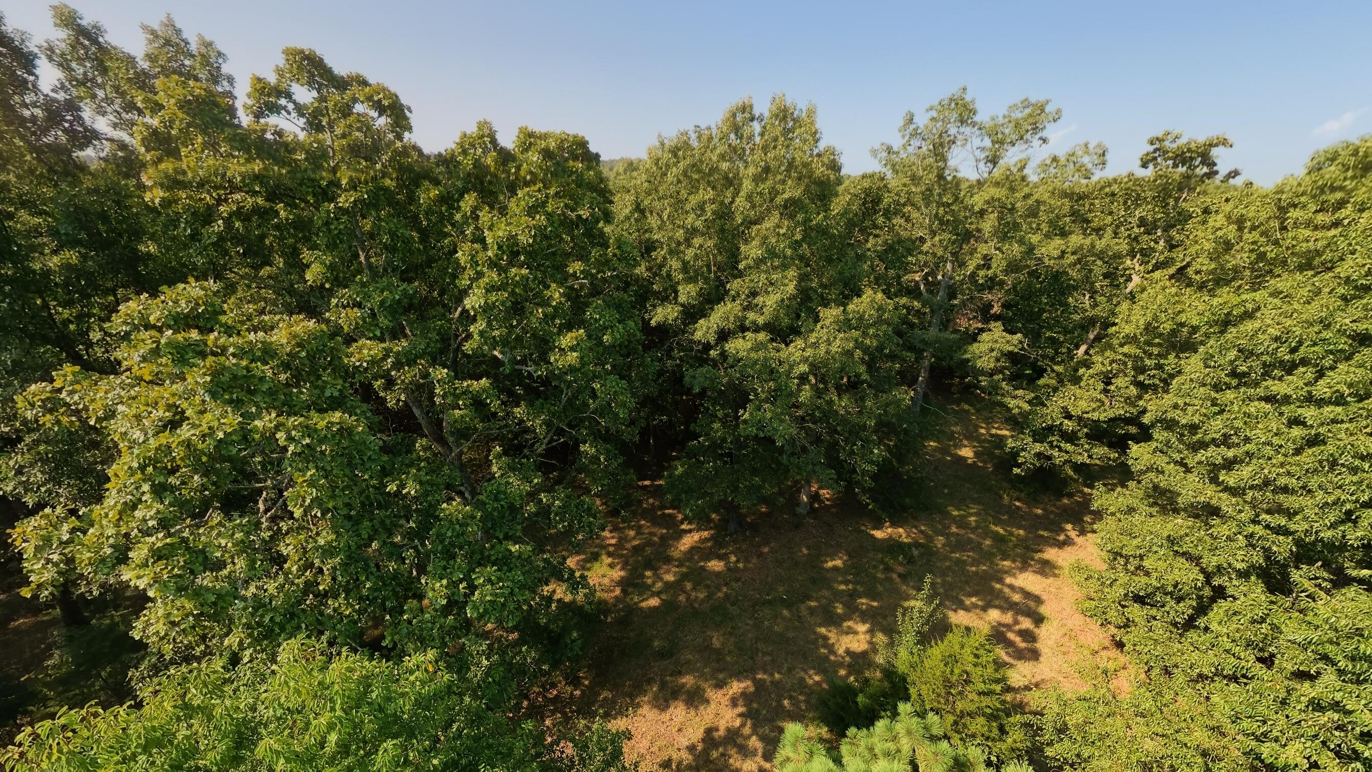 Photo 18 - Land for sale – 000  Highway 62/412   Highland, AR