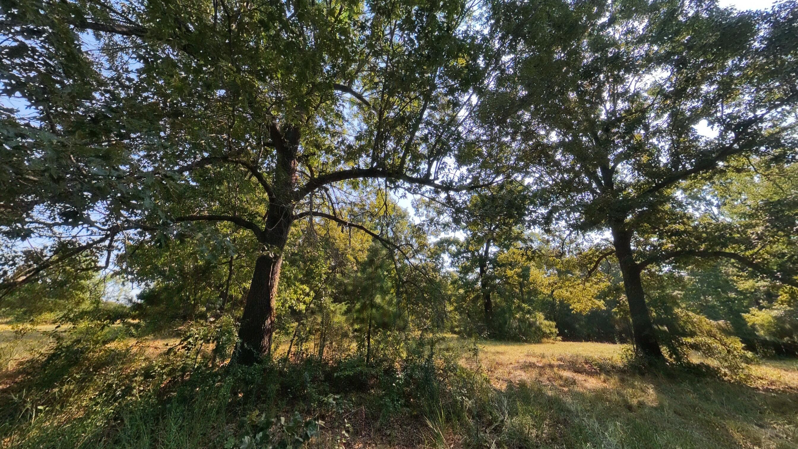Photo 10 - Land for sale – 000  Highway 62/412   Highland, AR